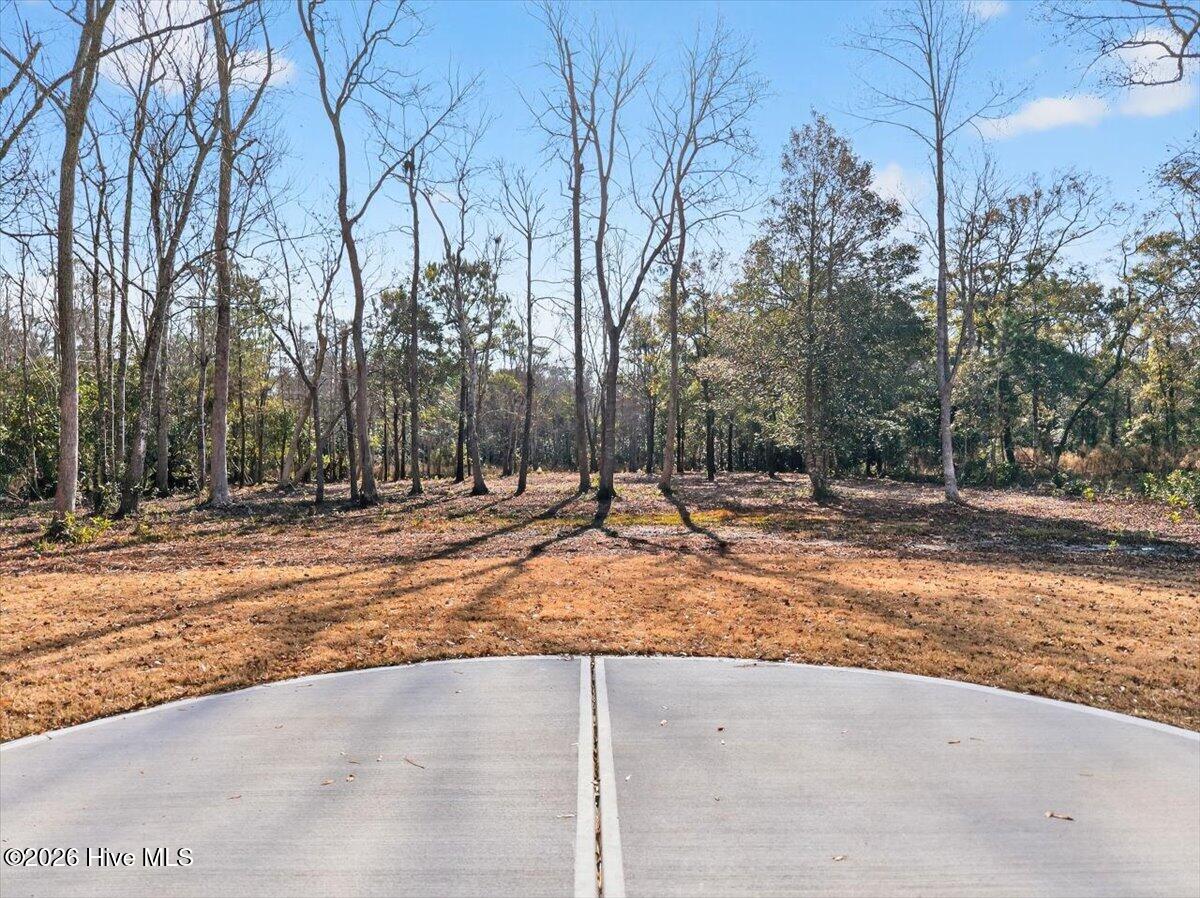 100549175 | Photo 38