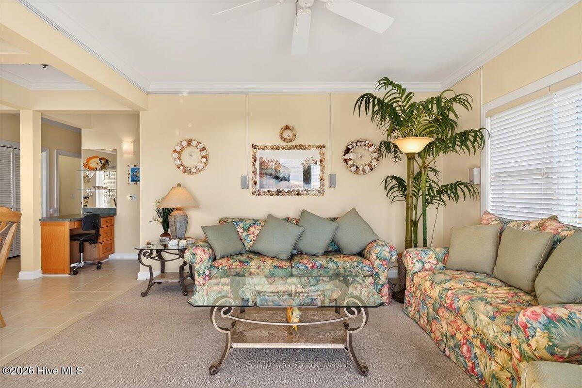 100549709 | Photo 13