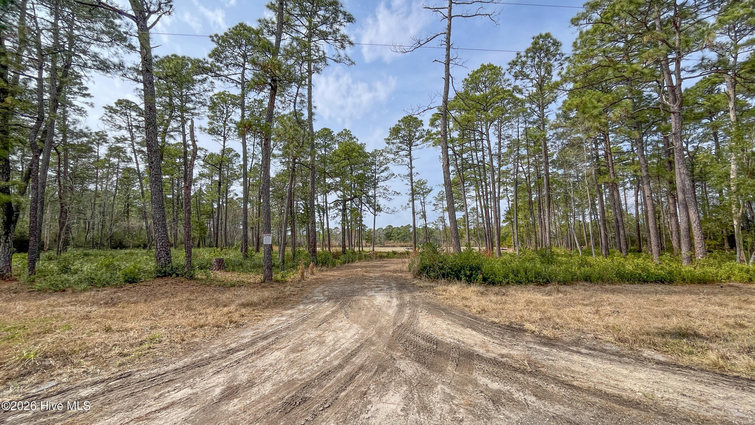 100554657 | Photo 14