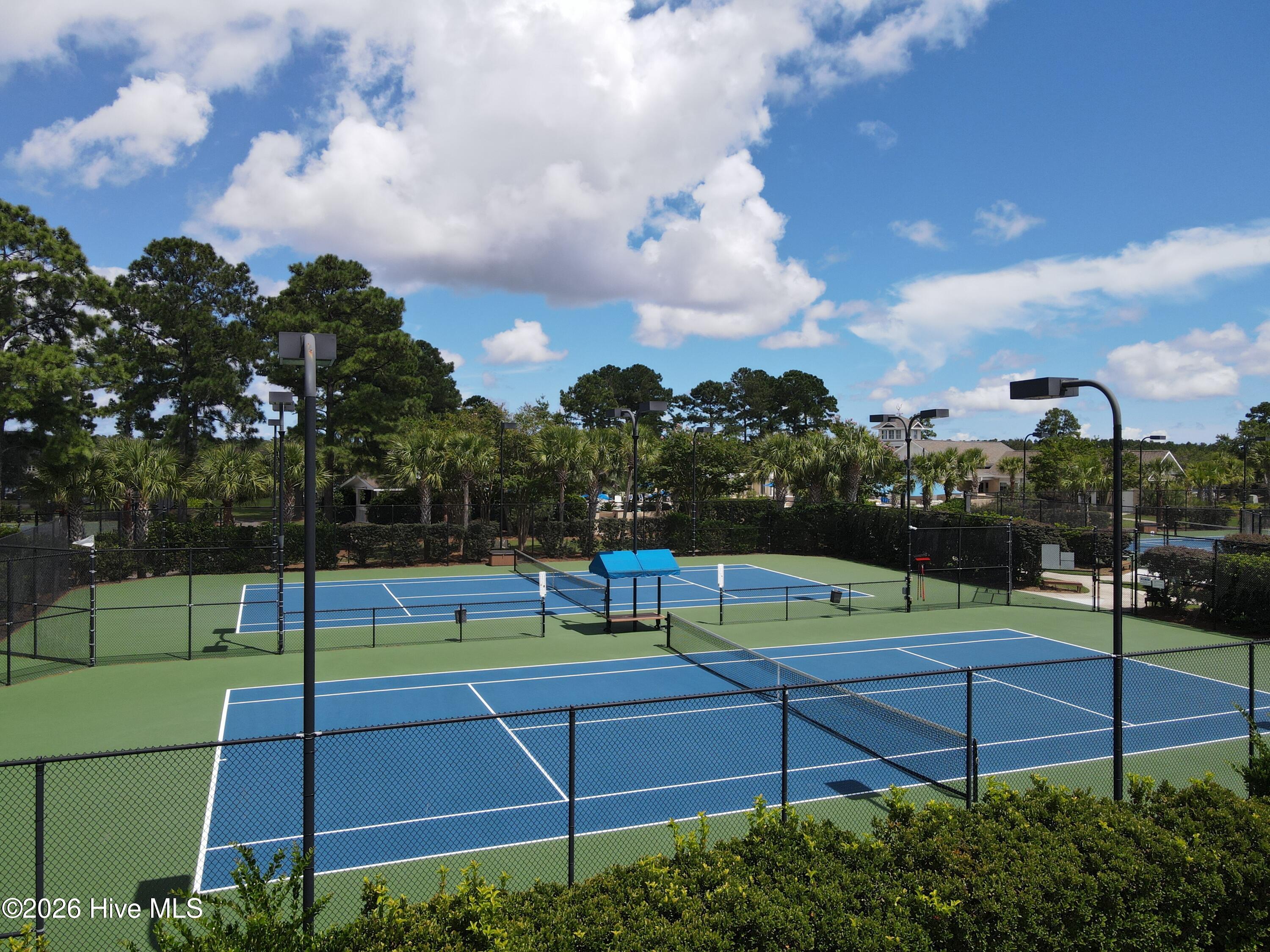 100554924 | Photo 56