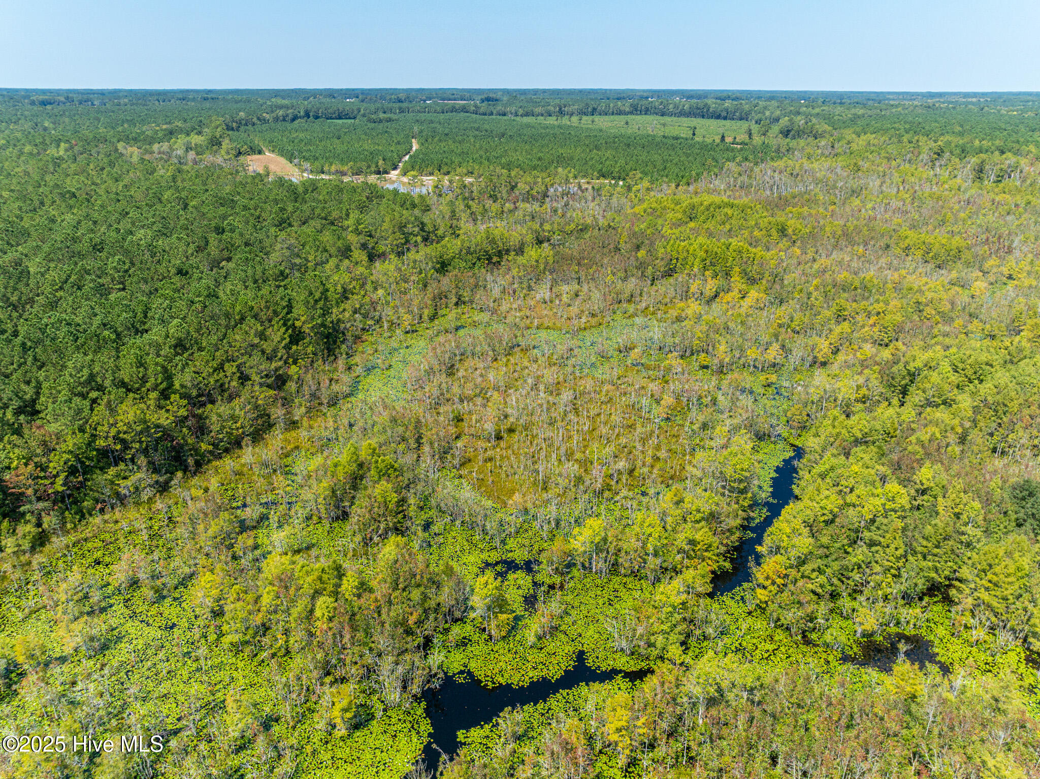 000 Butler Town Road, Clarendon, NC, 28432