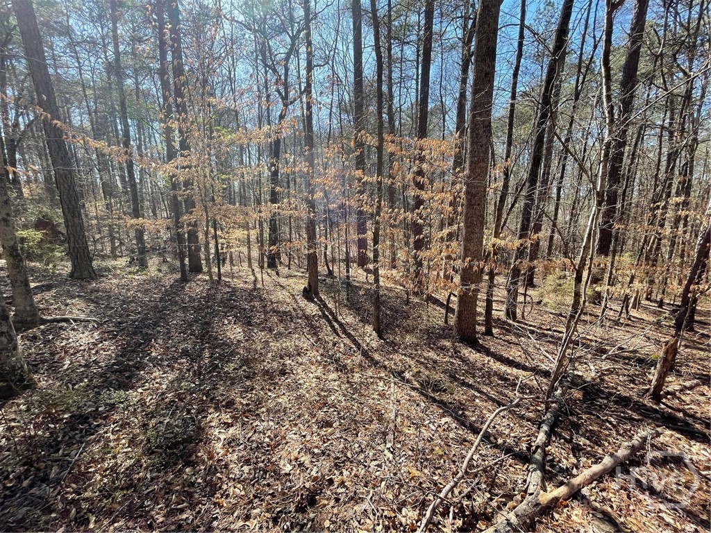 Lot 62 Warbler Lane, Monticello, GA, 31064
