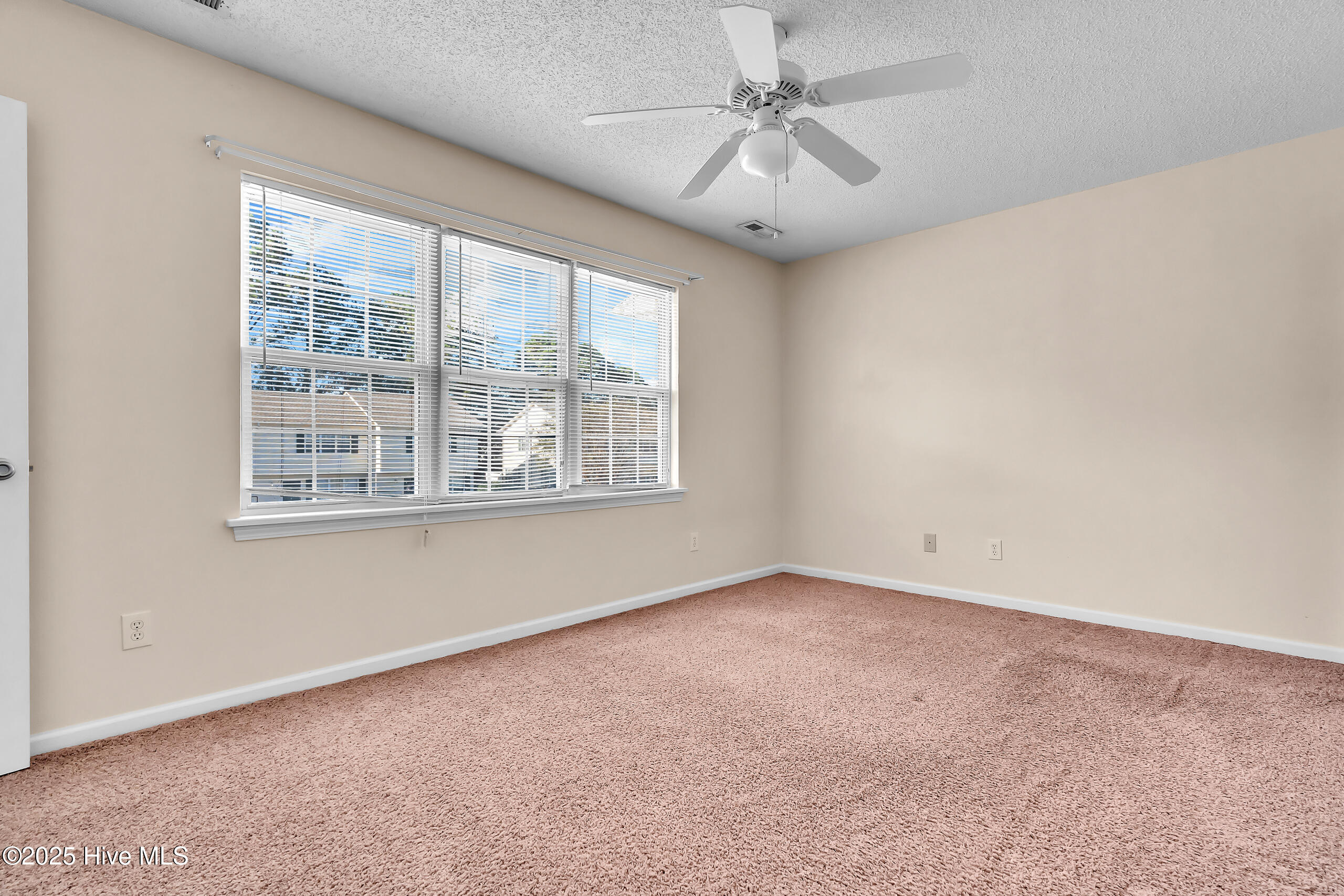 100541412 | Photo 19