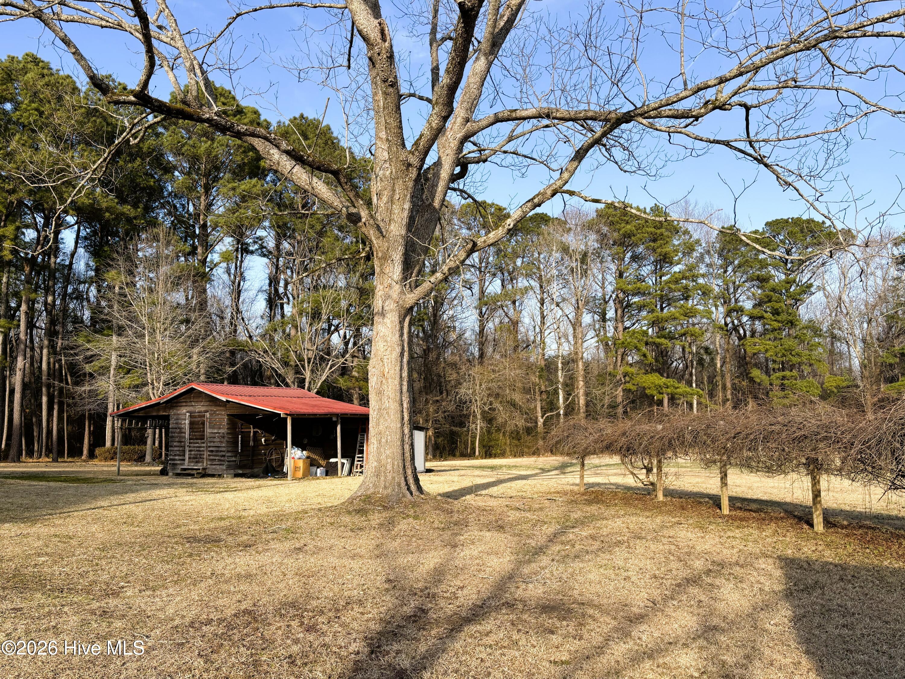 100554196 | Photo 24