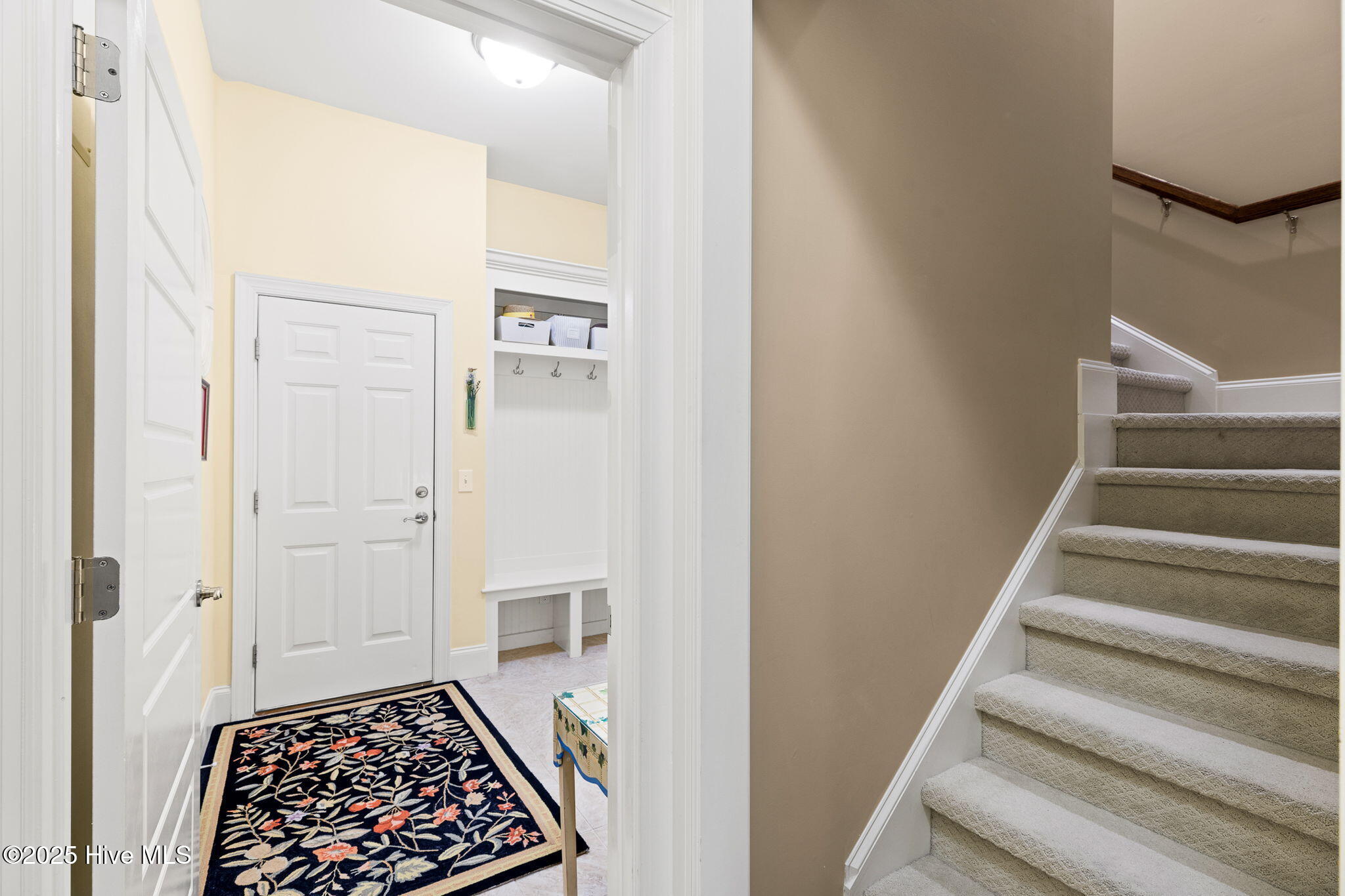 100508421 | Photo 56