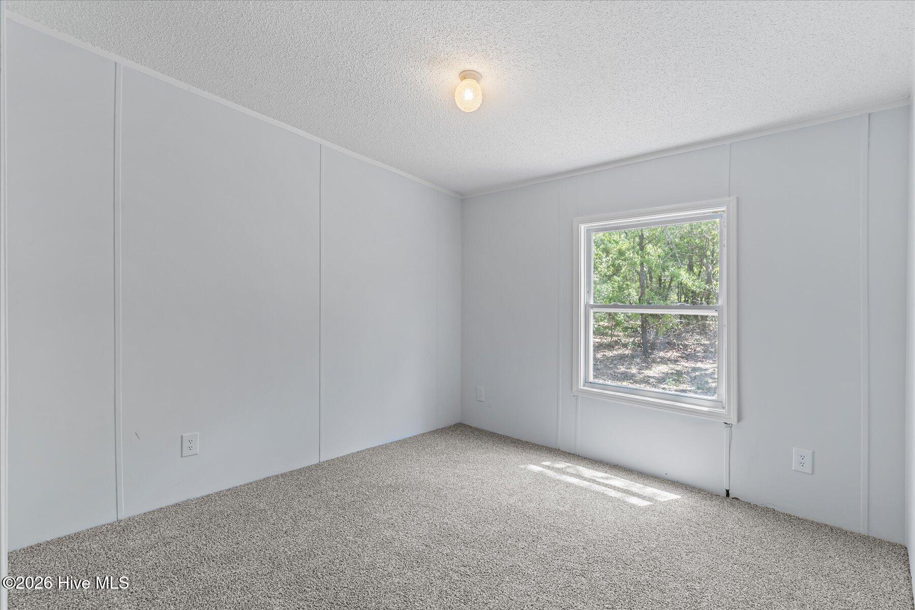 100567568 | Photo 32