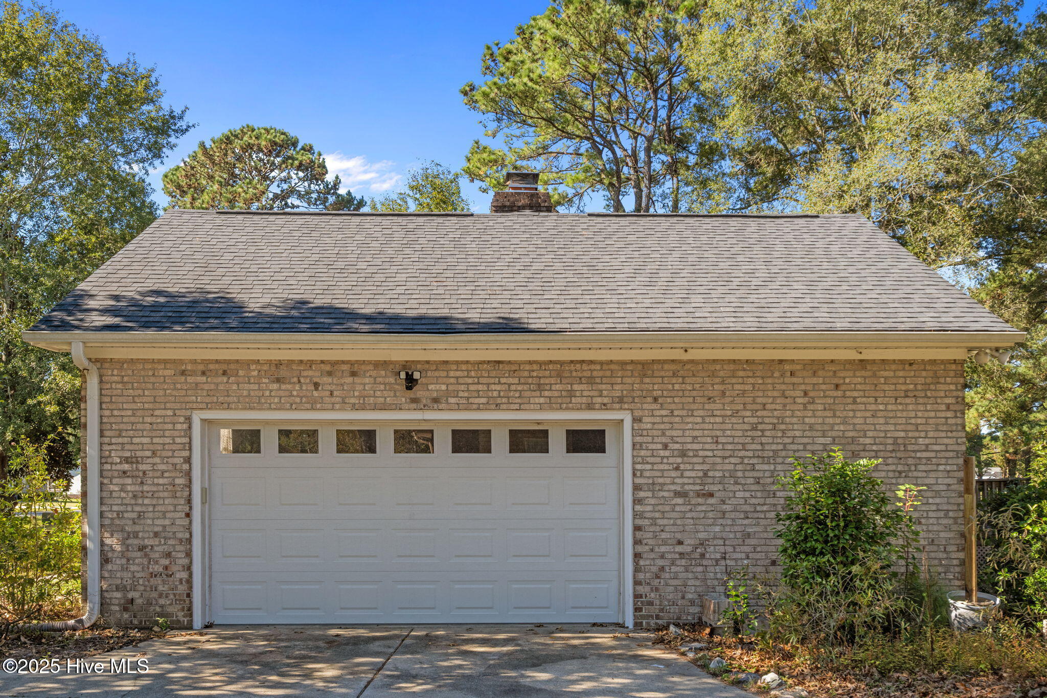 100537375 | Photo 42