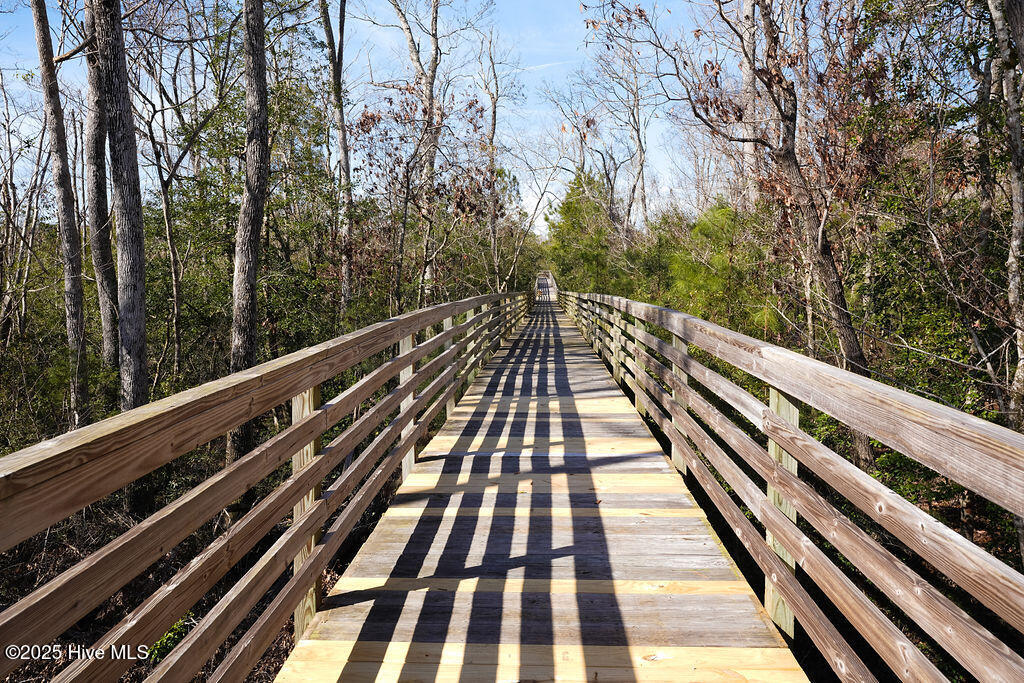 100542530 | Photo 87