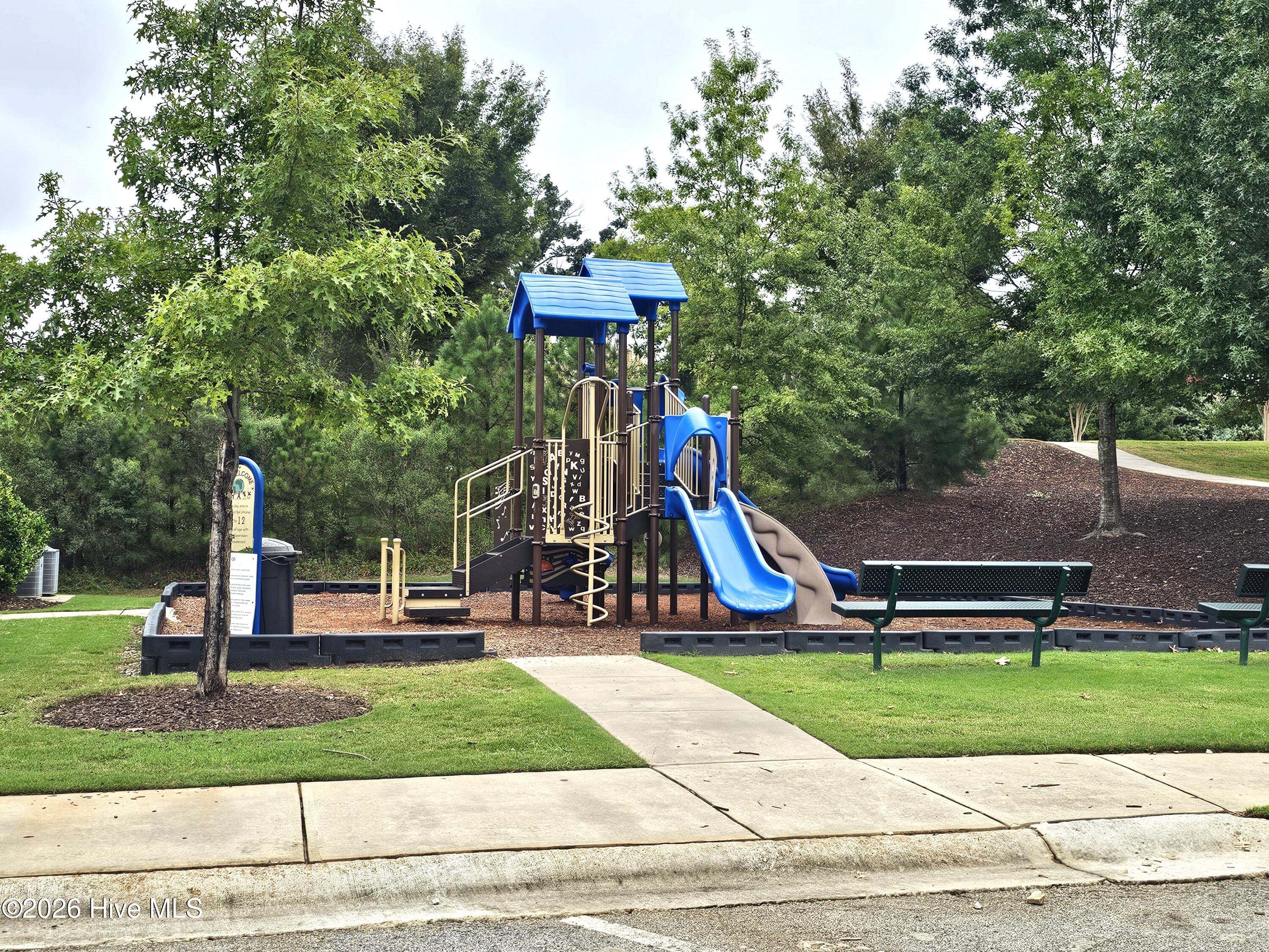 Play Area