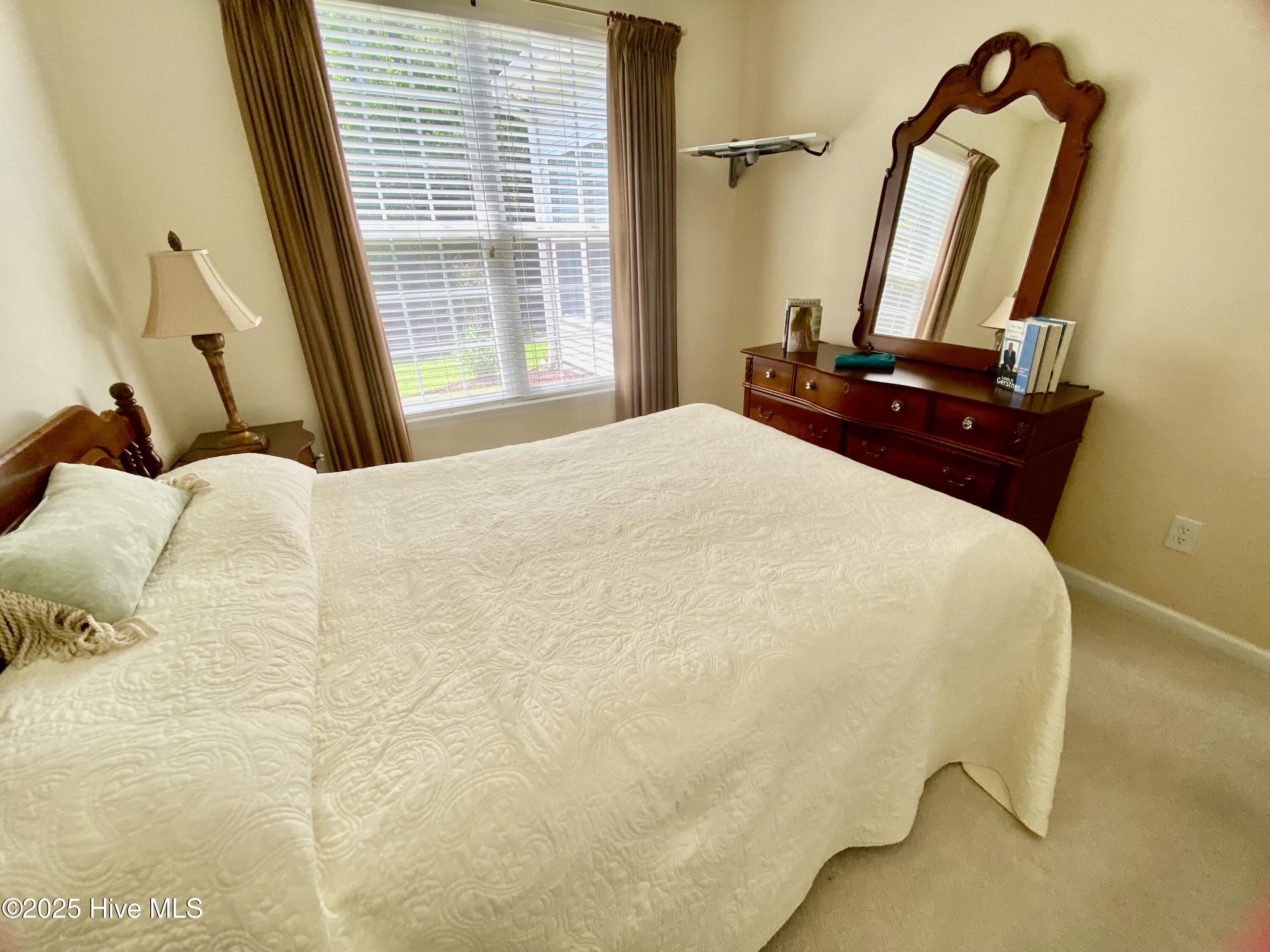 100539119 | Photo 30