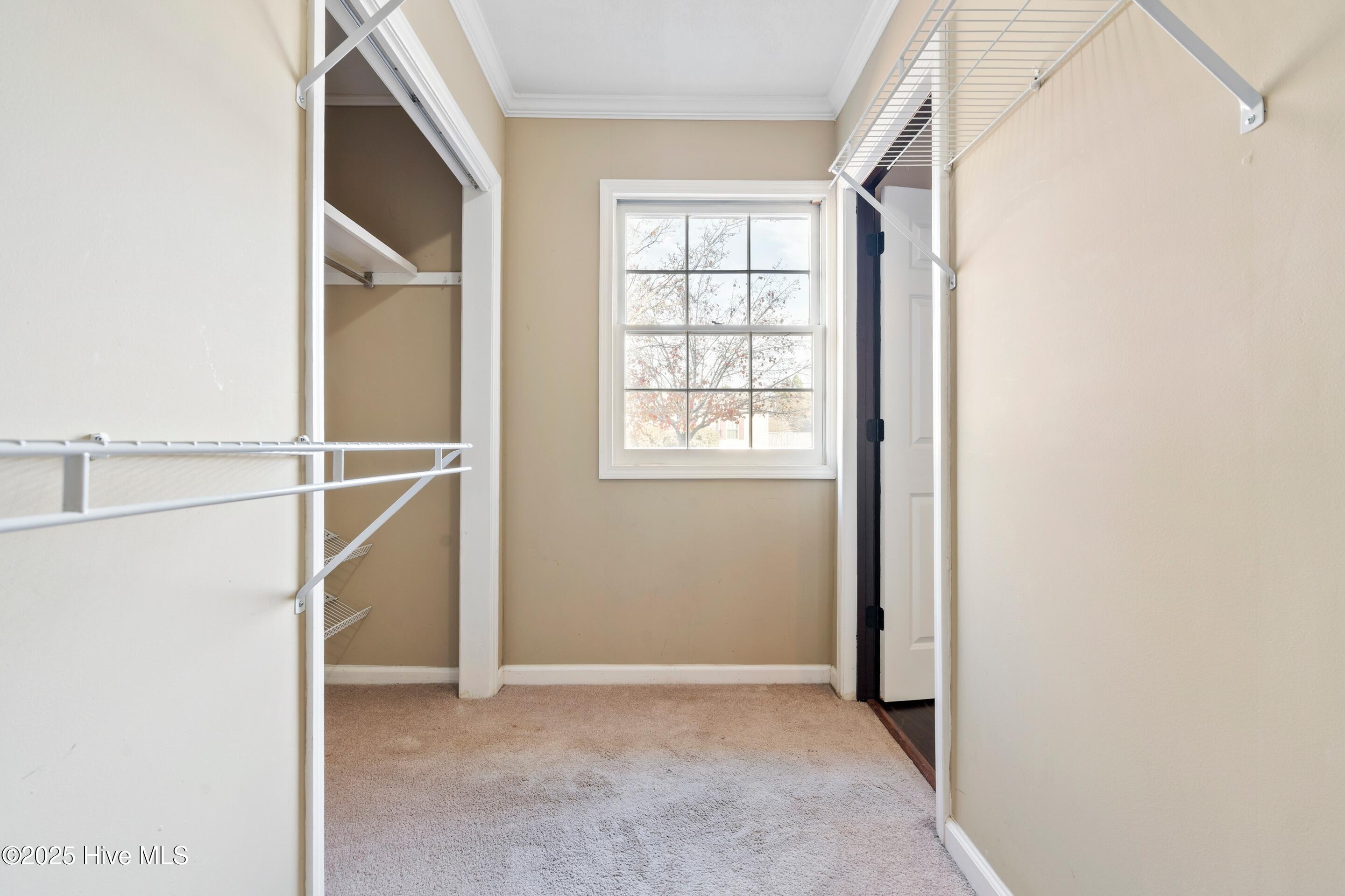 100546028 | Photo 28