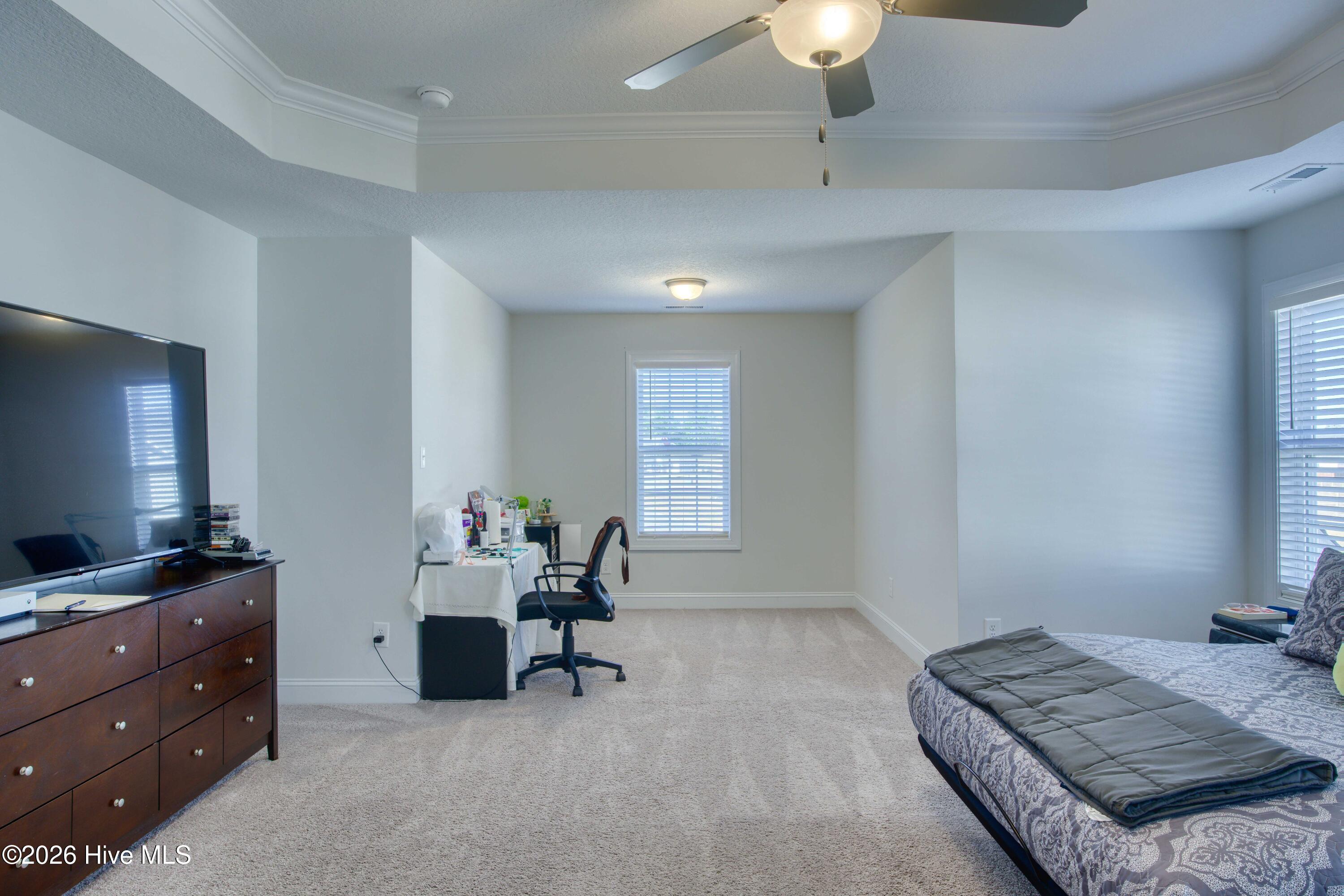 100549556 | Photo 23