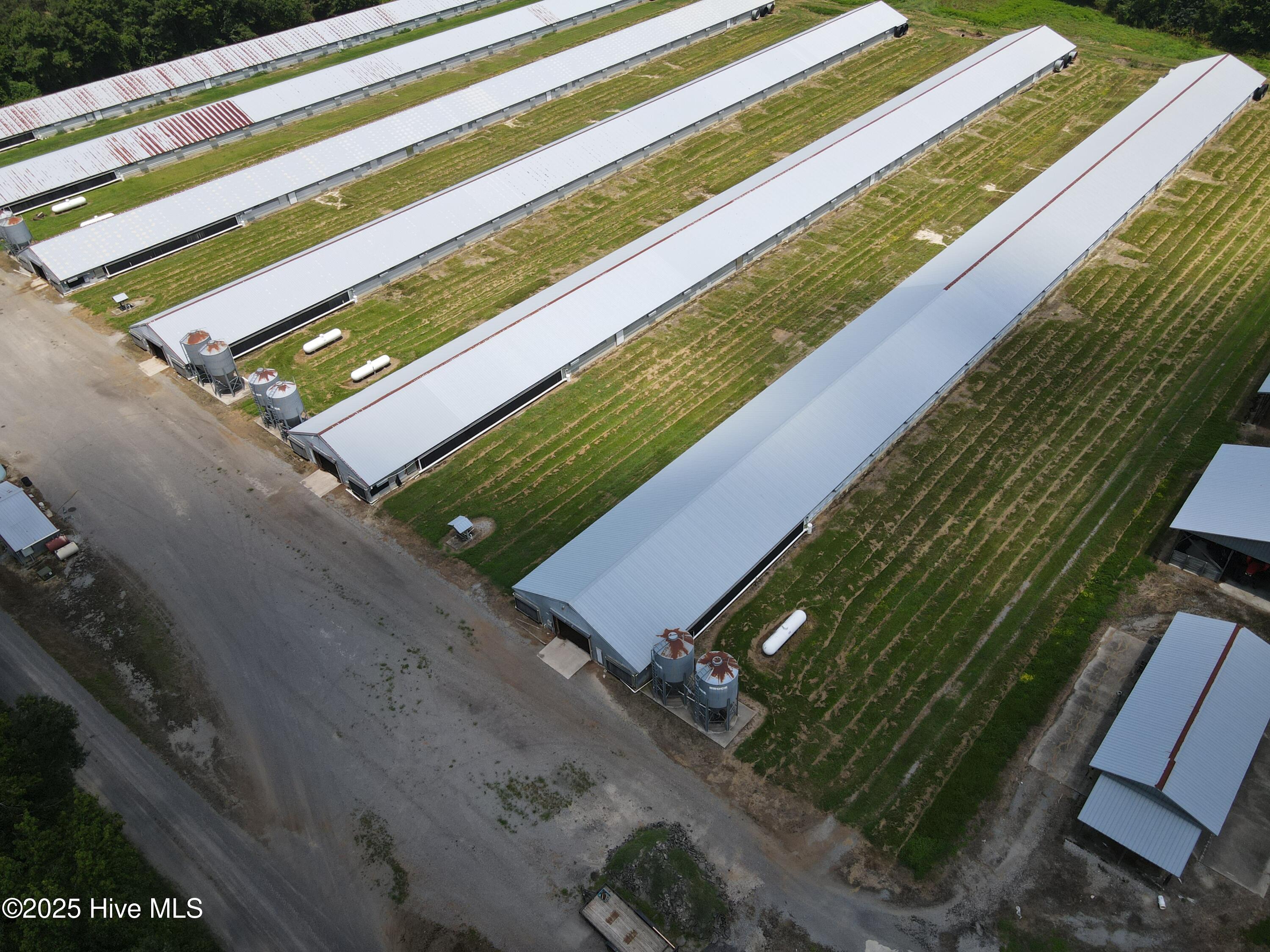 Tbd E Woodrow School Road, Murfreesboro, NC, 27855