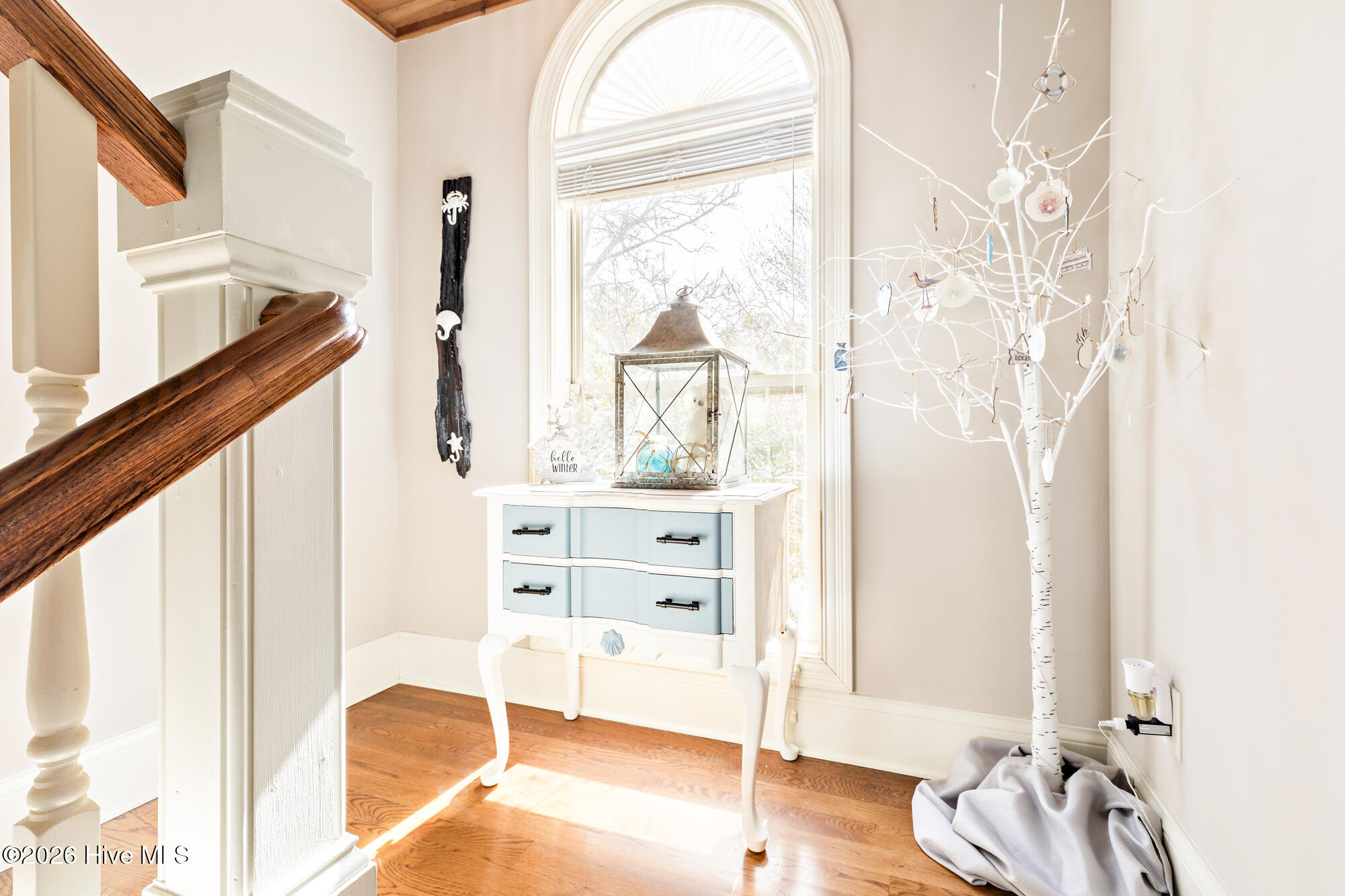 100554367 | Photo 84