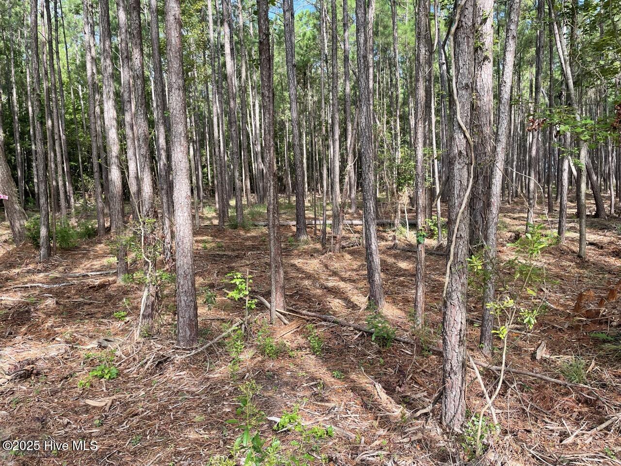 237 Garbacon Drive, Beaufort, NC, 28516