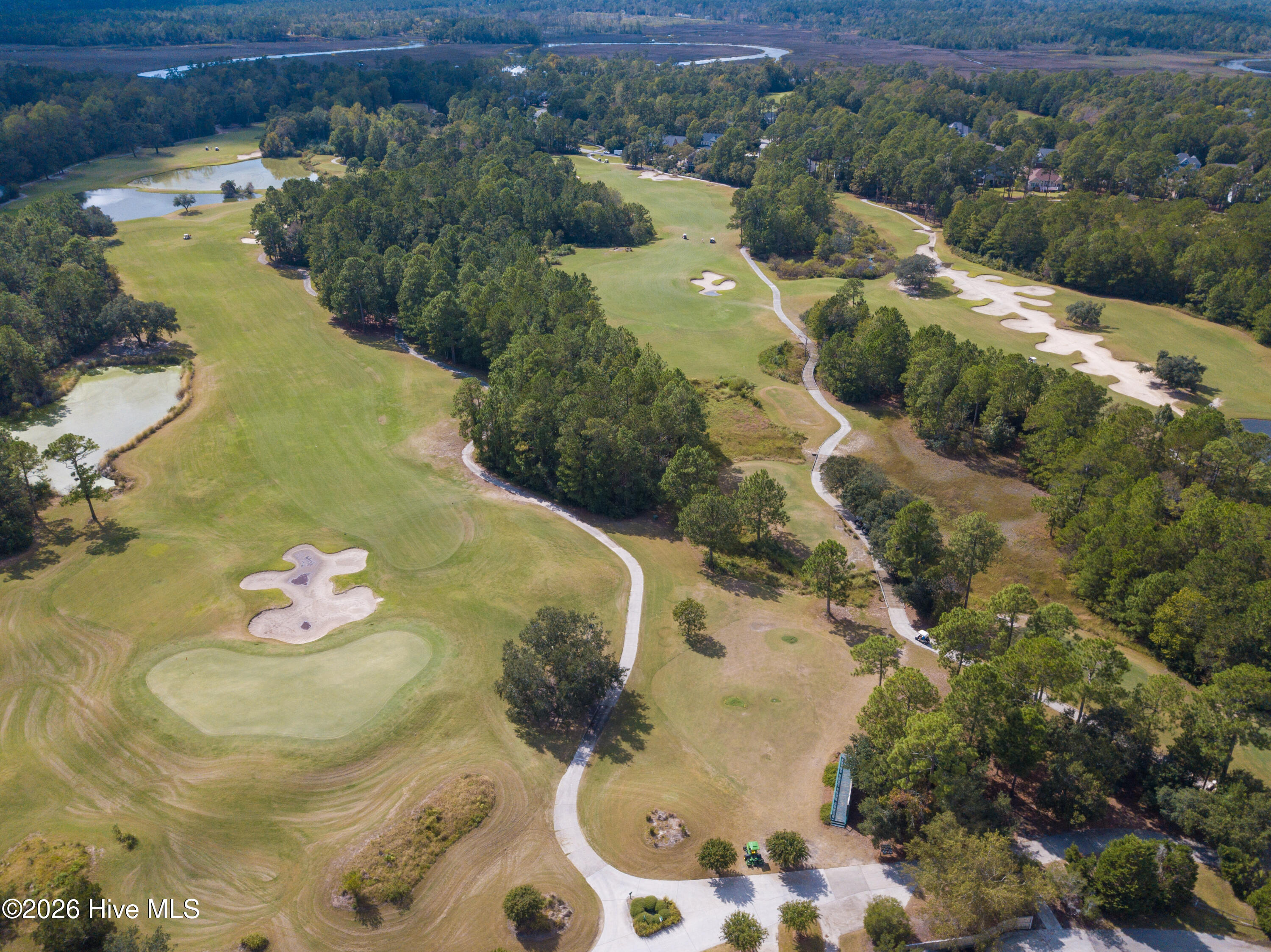 100553830 | Photo 62