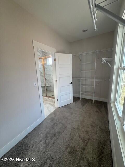 100520395 | Photo 26