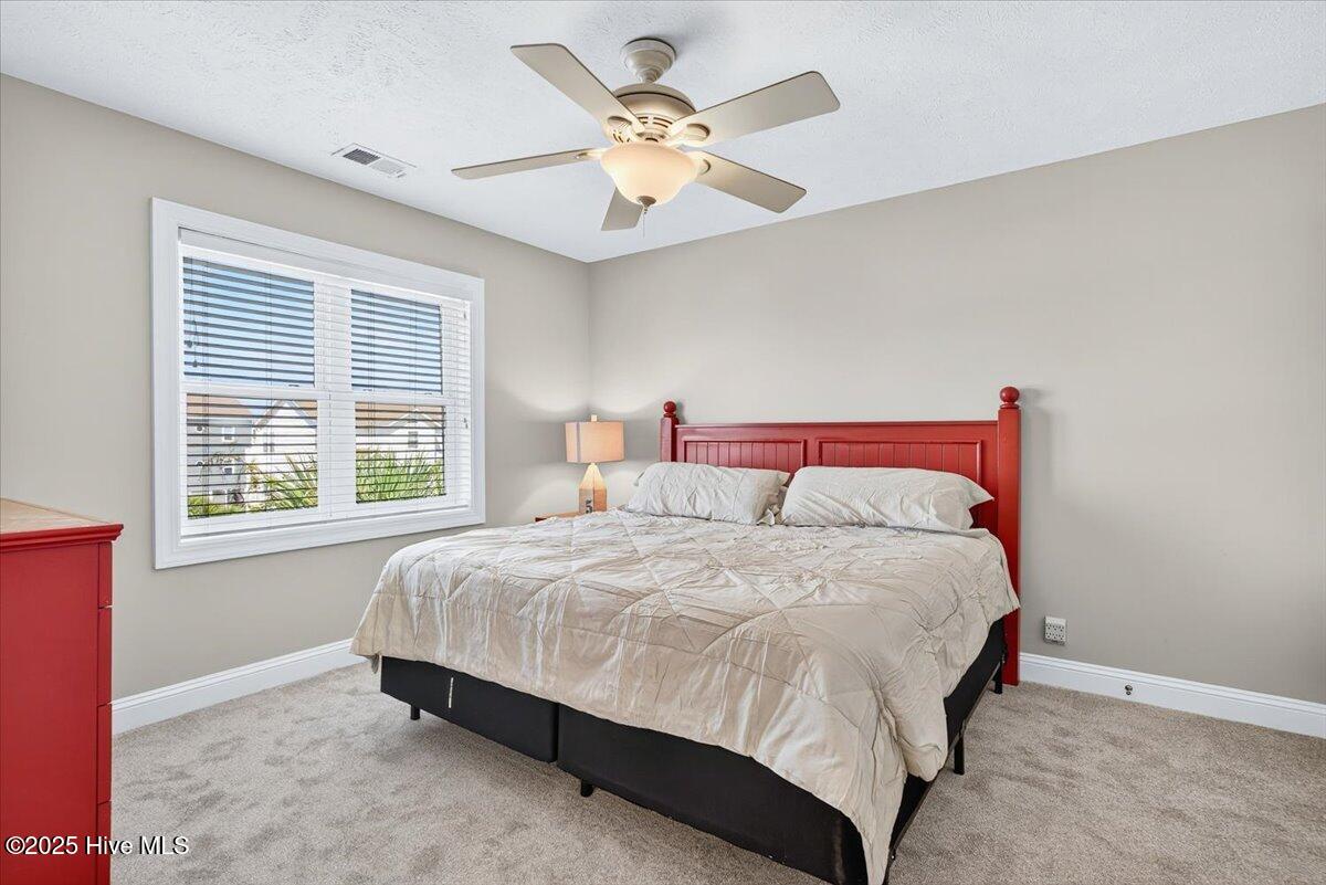 100529762 | Photo 19