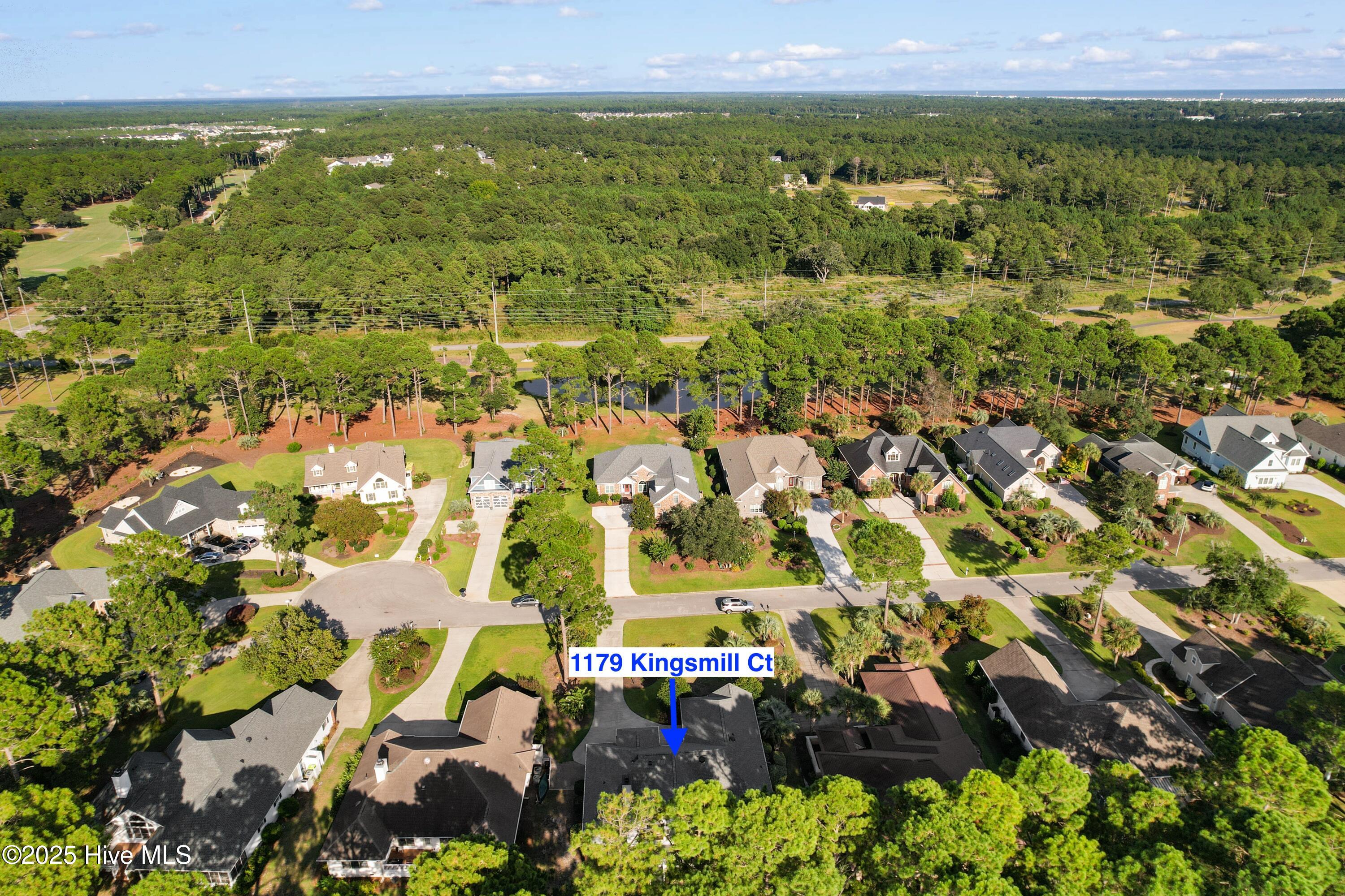 100531039 | Photo 40