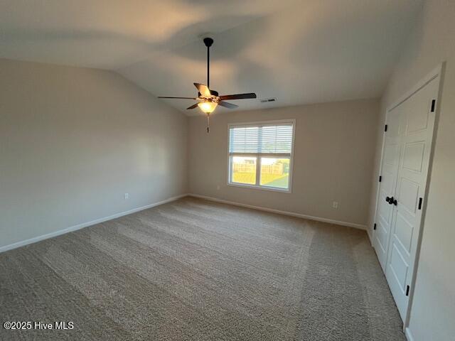 100534246 | Photo 11