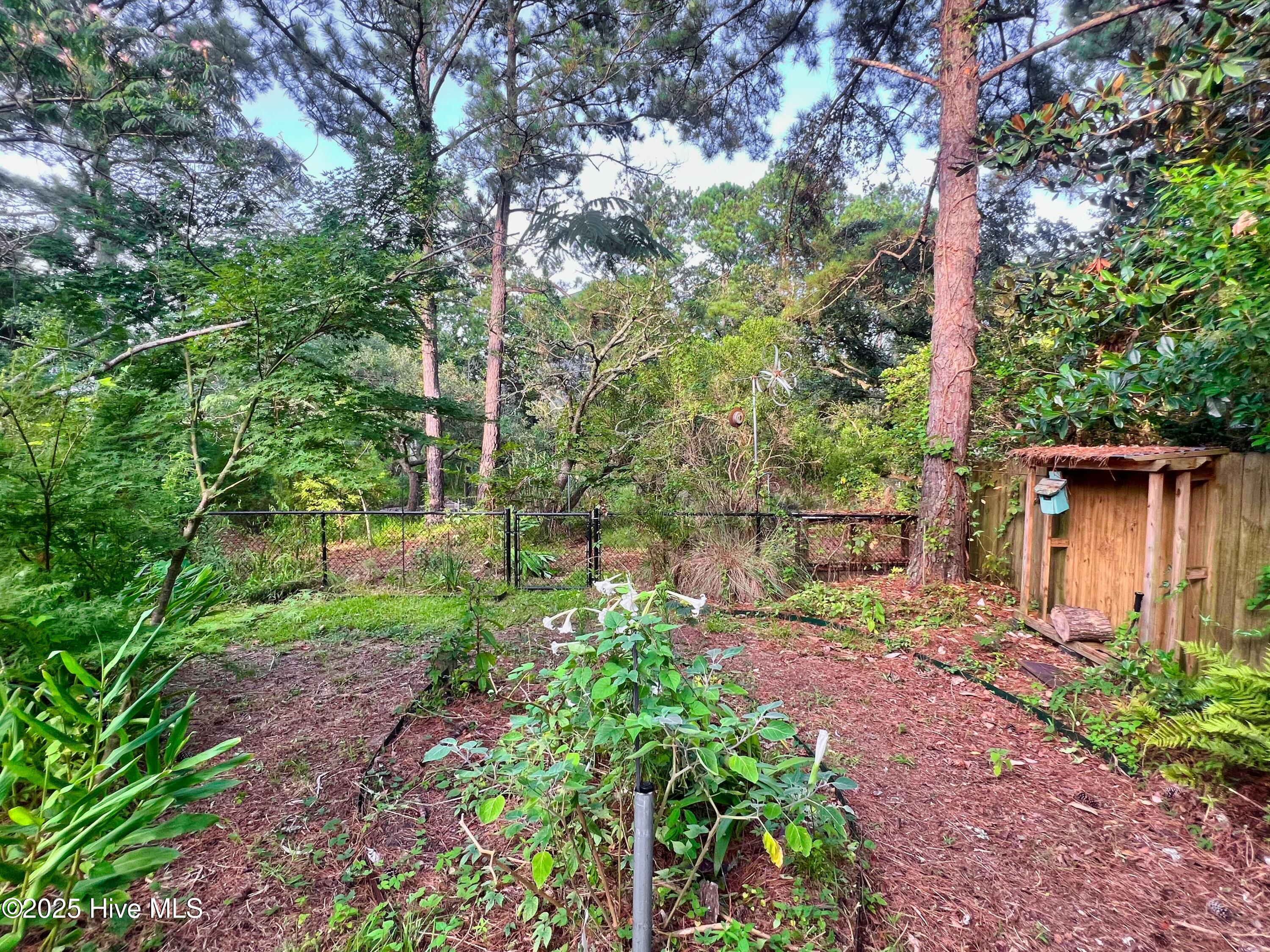 100521049 | Photo 37