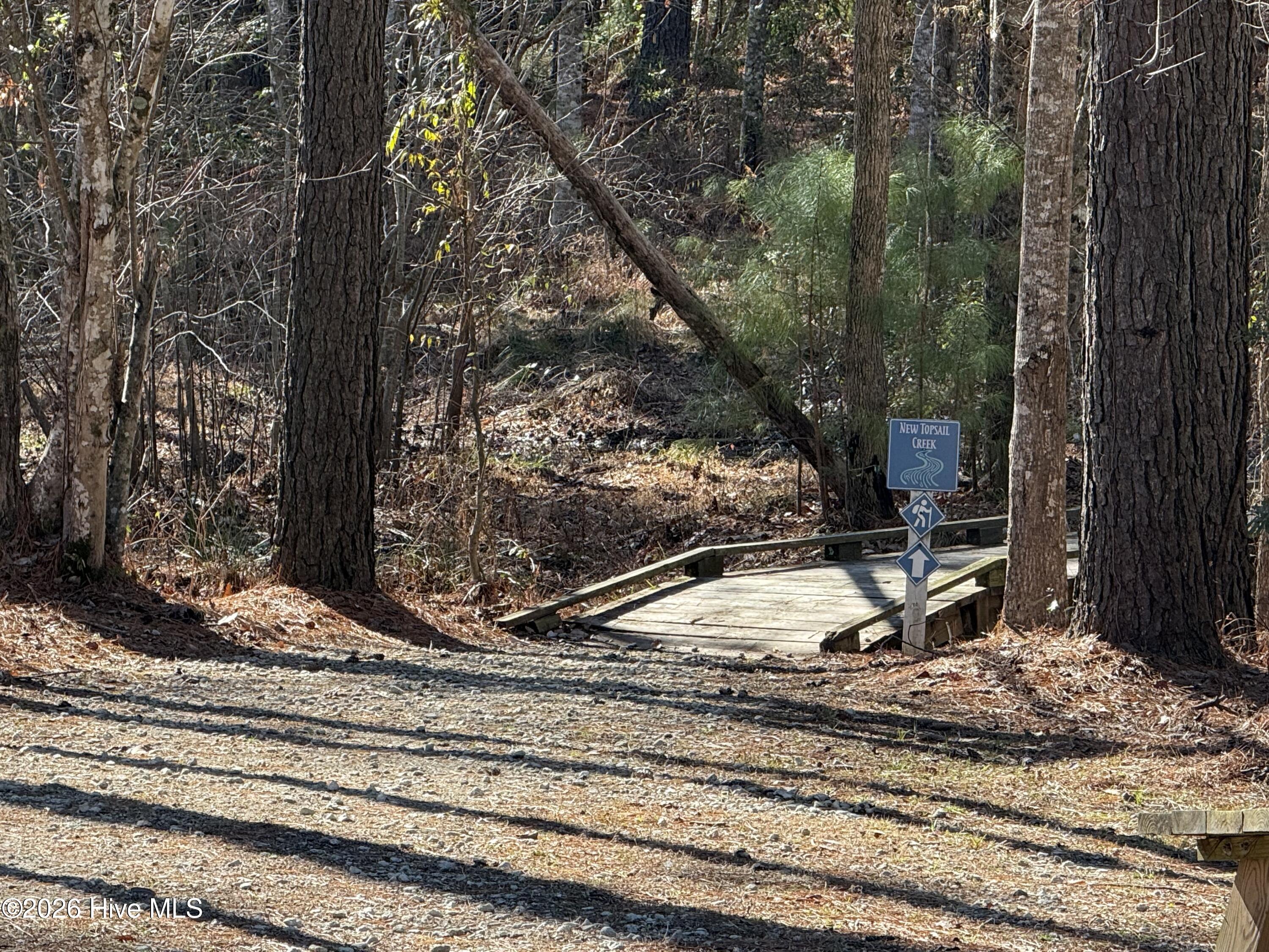 100554064 | Photo 11