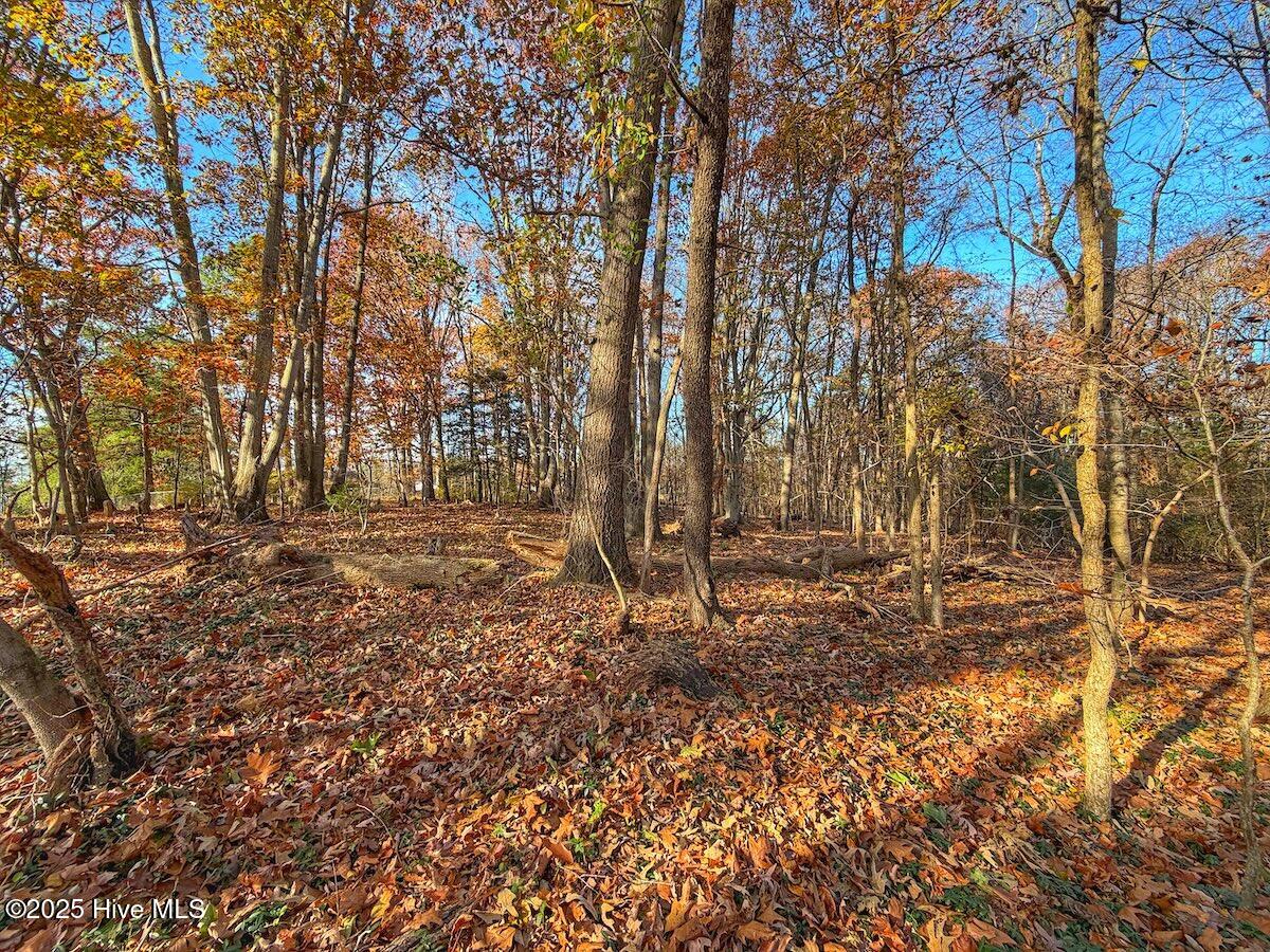 0 Mabry Mill Road, Henderson, NC, 27537