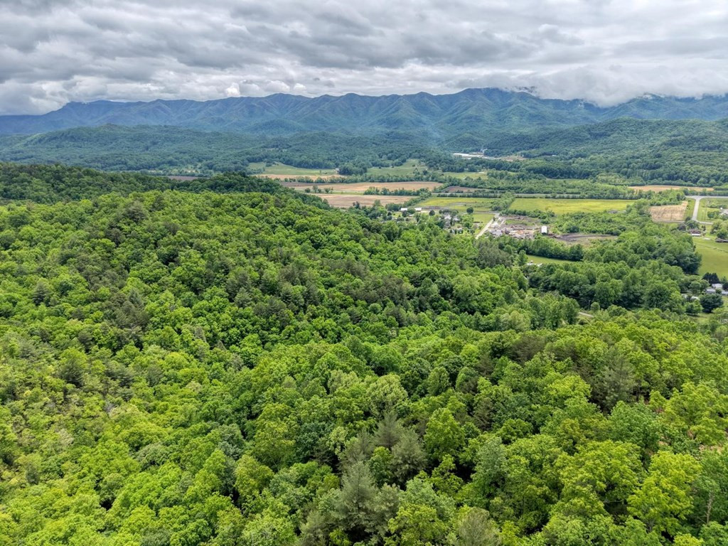 477 Little Snowbird Trail, Marble, NC 28905 Listing Photo  45