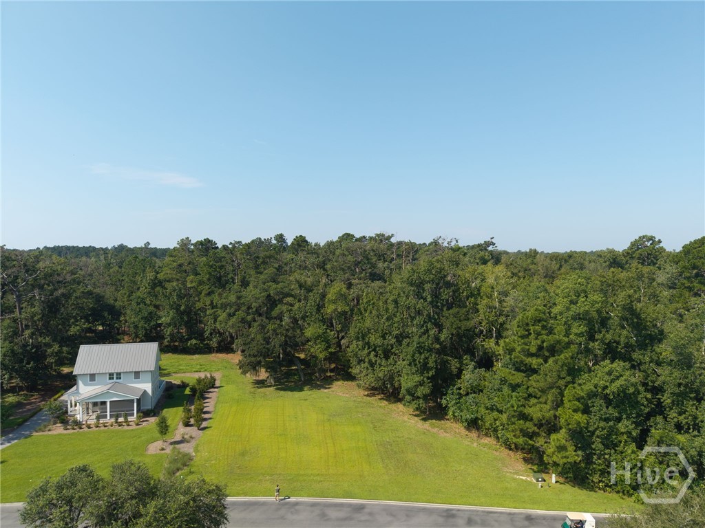 Photo 4 of Land for sale at 245 Little Lulu Ln, Richmond Hill, GA 31324 | MLS# SA363140 | Listing updated on 2026-09-18