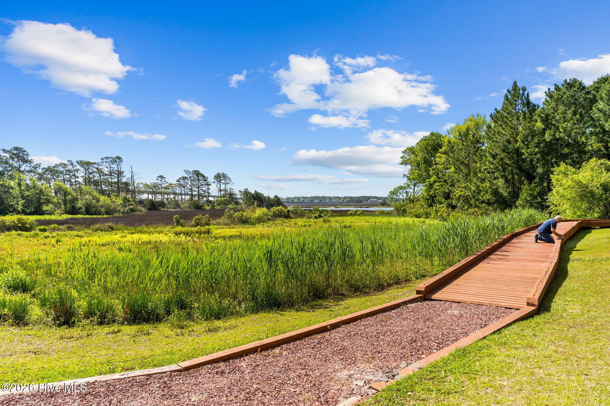 100558895 | Photo 77