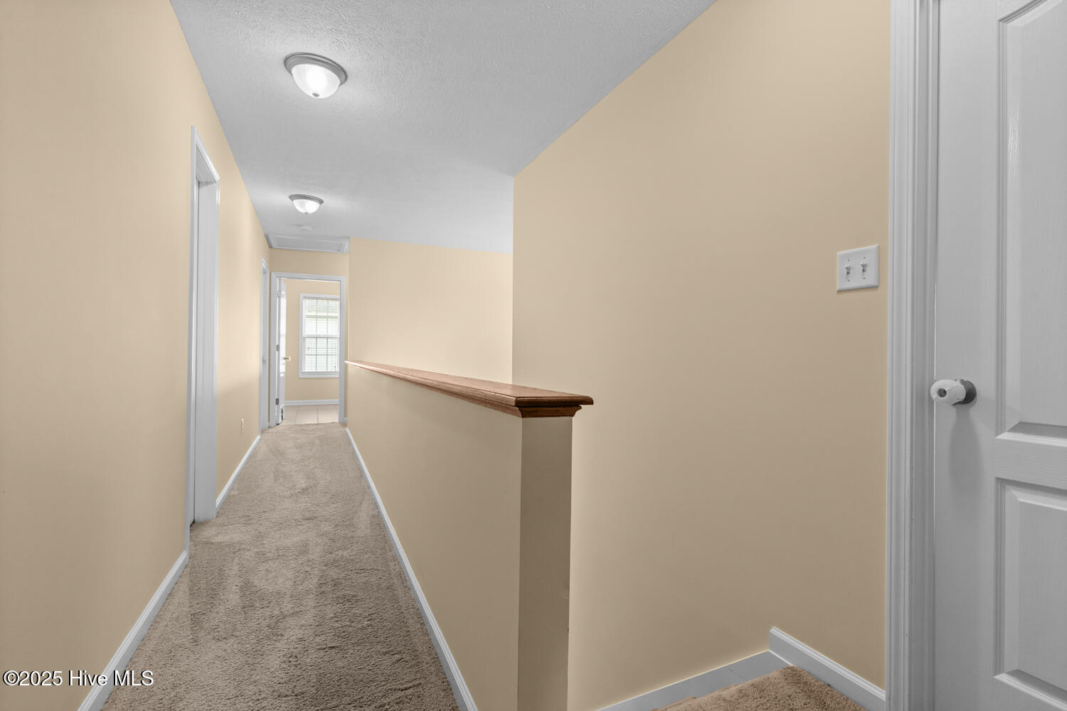 100535732 | Photo 25