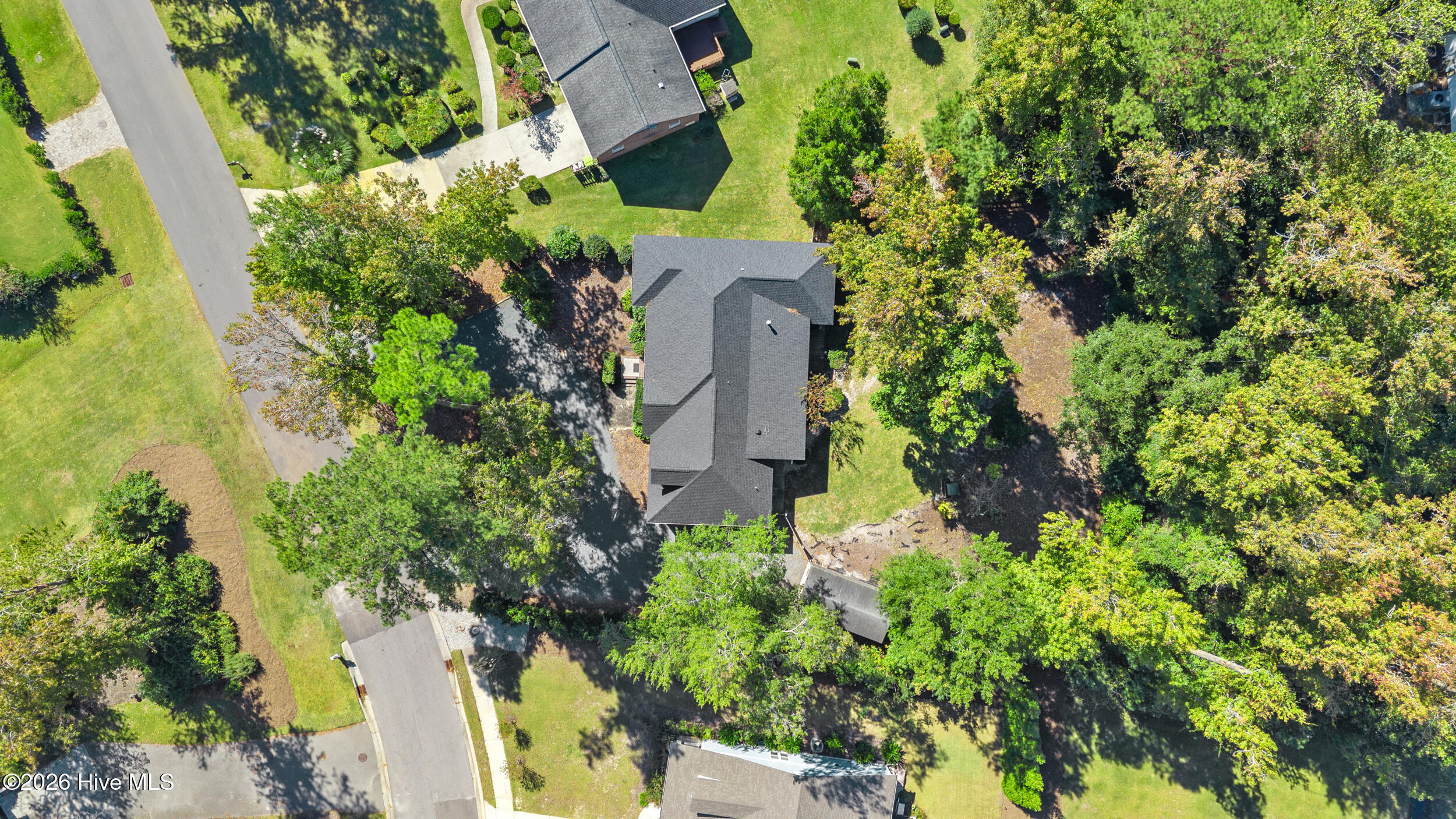 100555563 | Photo 43