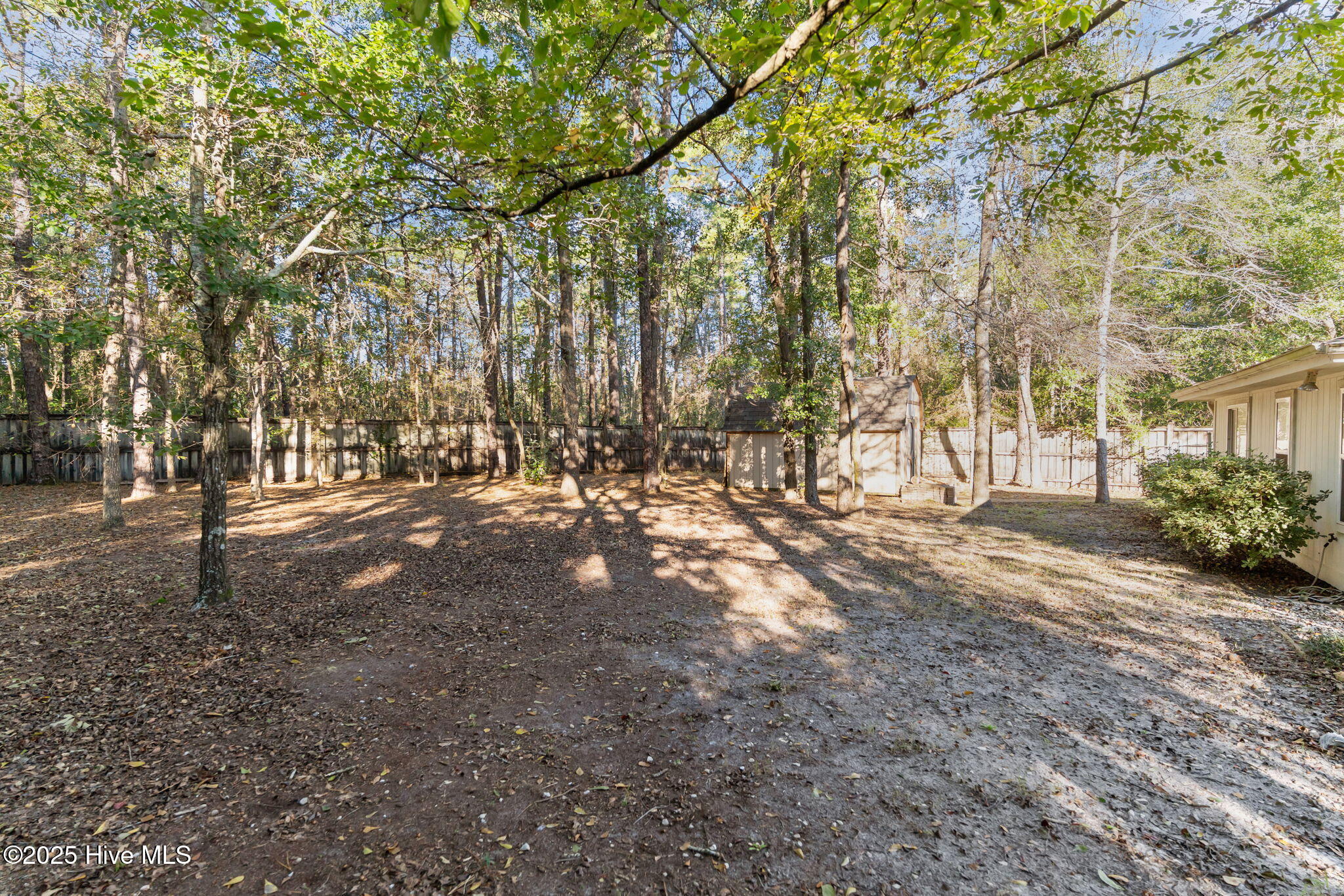 100537422 | Photo 43