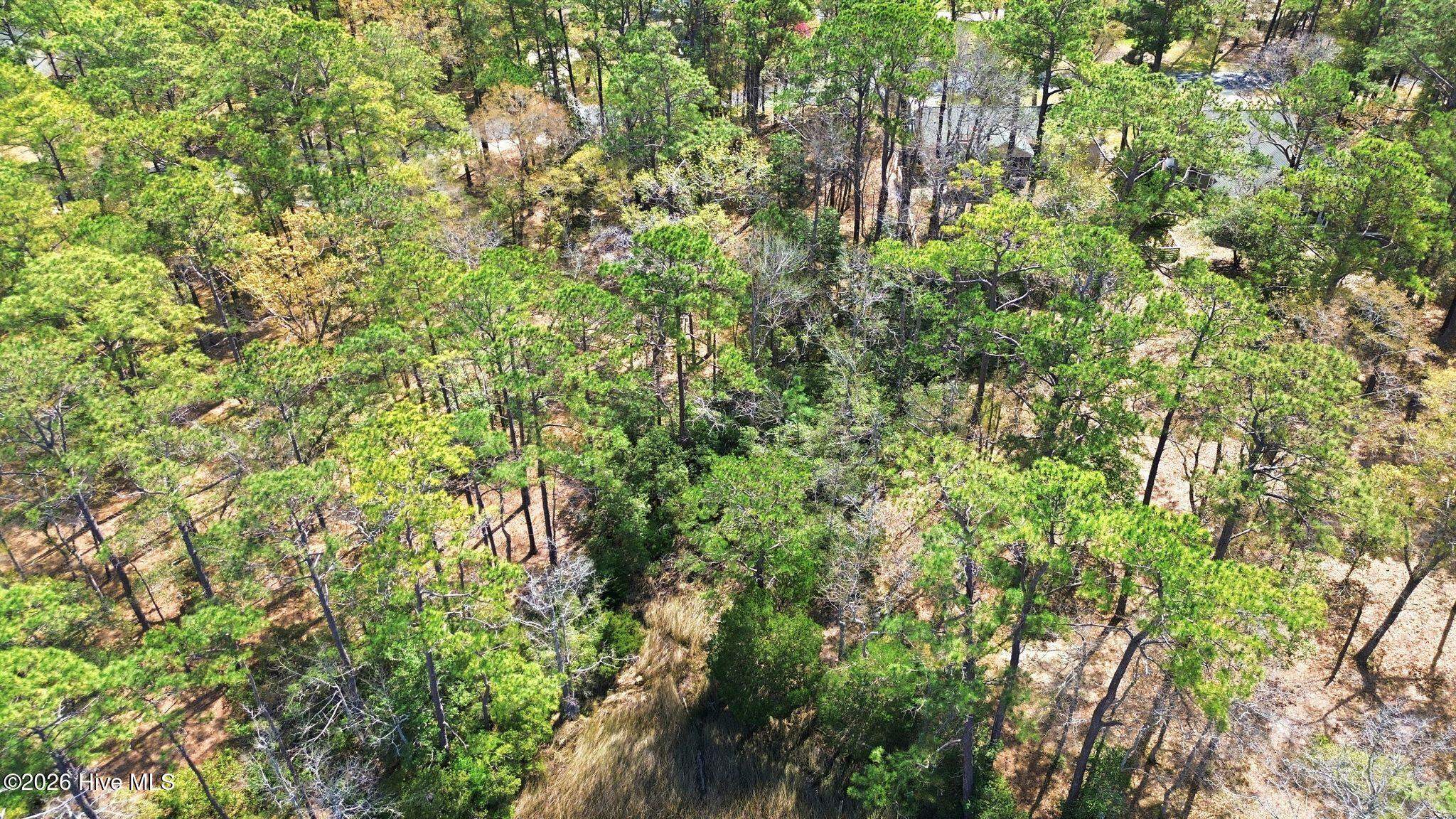 100563683 | Photo 20