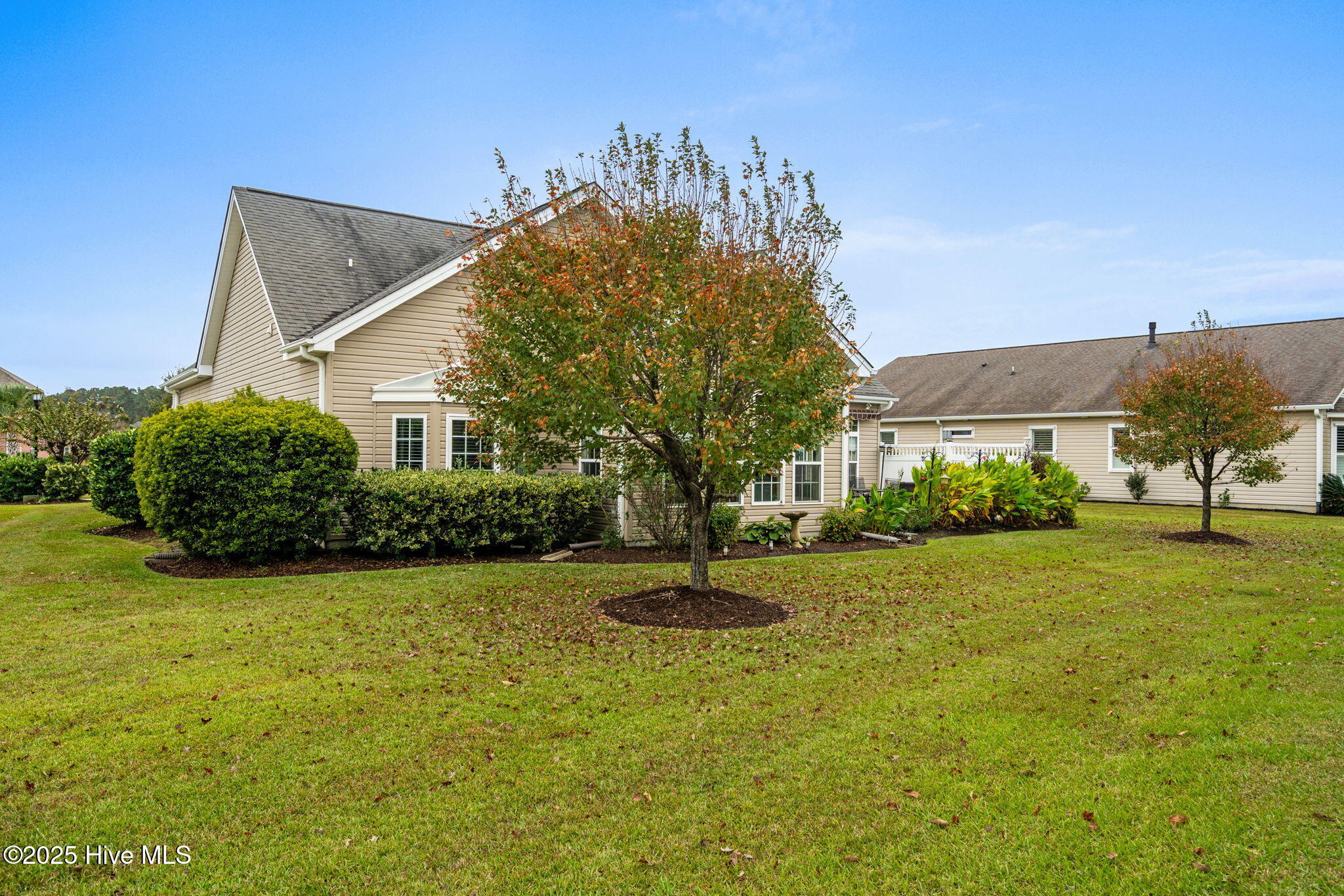 100538854 | Photo 41