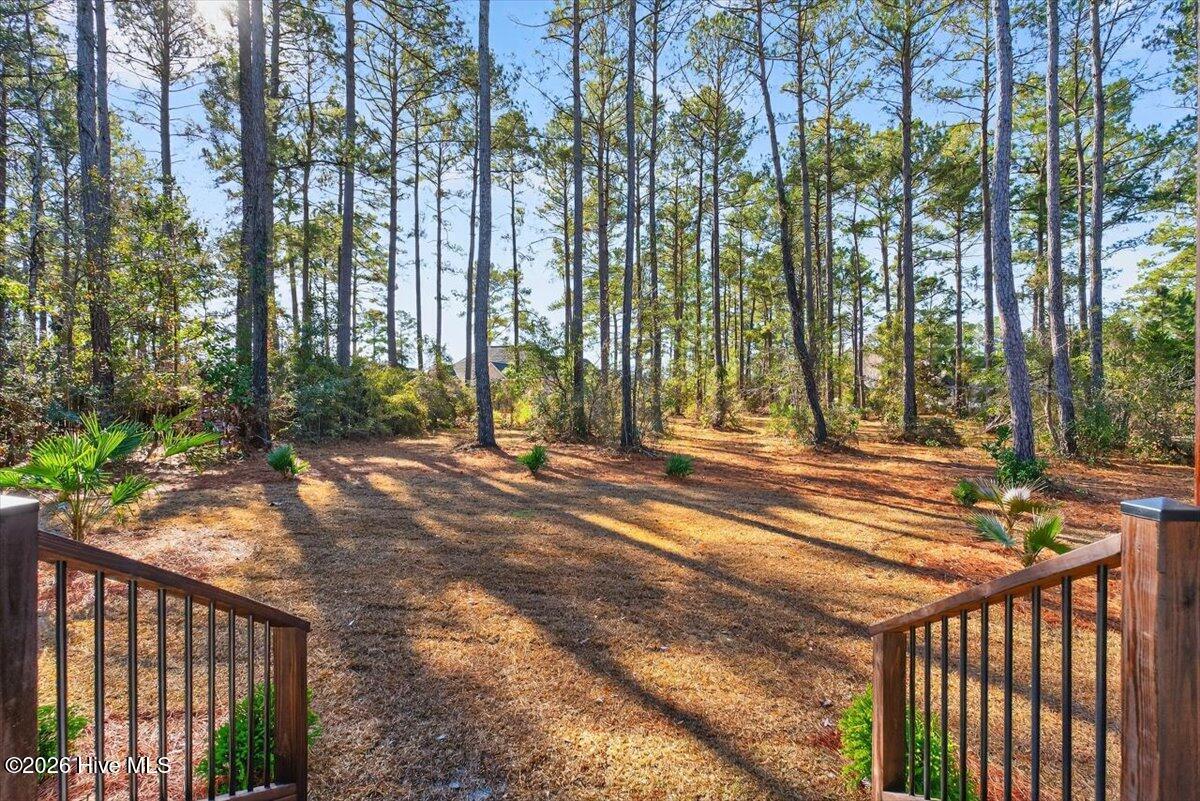 100508679 | Photo 36