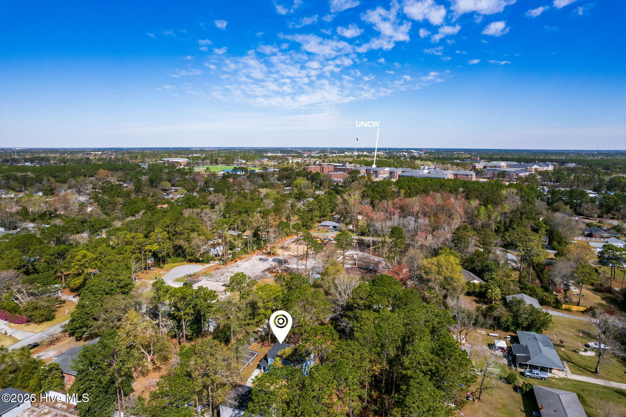 100559438 | Photo 19