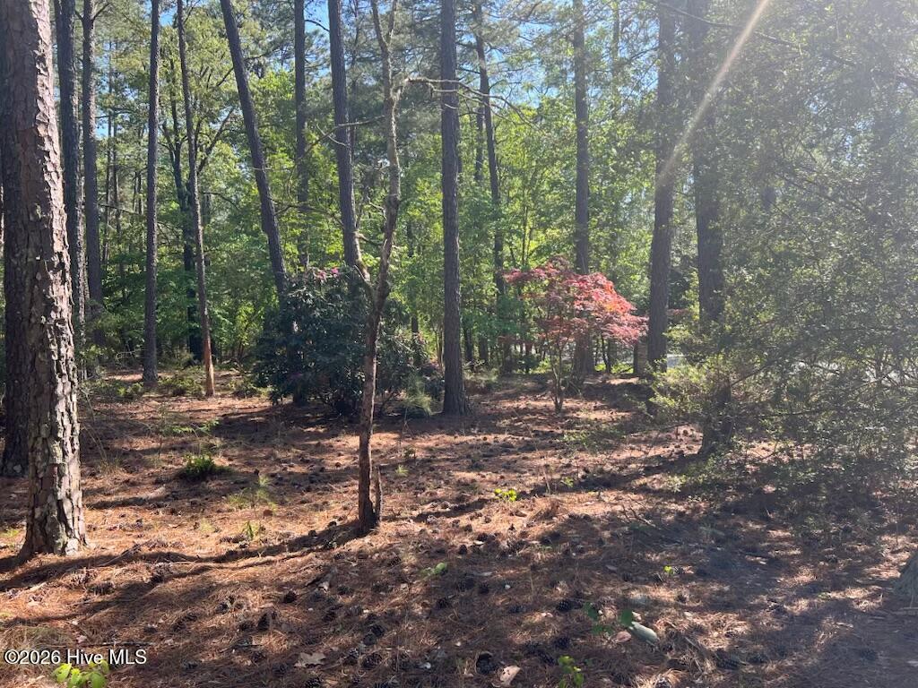 1551 Linden, Aberdeen, North Carolina, 0 ,Residential Lot,For sale,Linden,100567720 1551 Linden, Aberdeen, North Carolina, 0 ,Residential Lot,For sale,Linden,100567720
