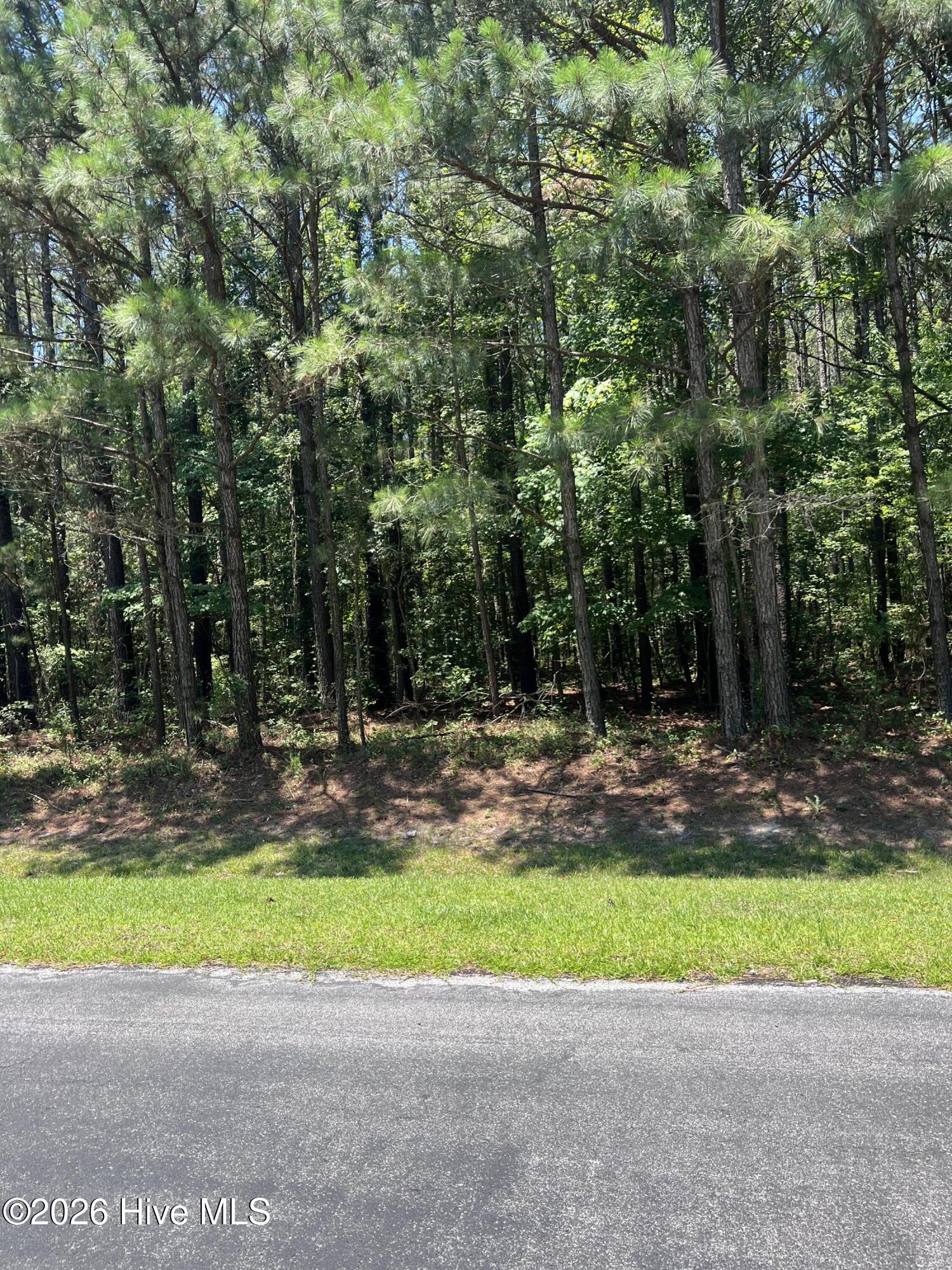 4th image of Lot #79 Breakwater Dr, Bath, NC 27808 | MLS# 100590827