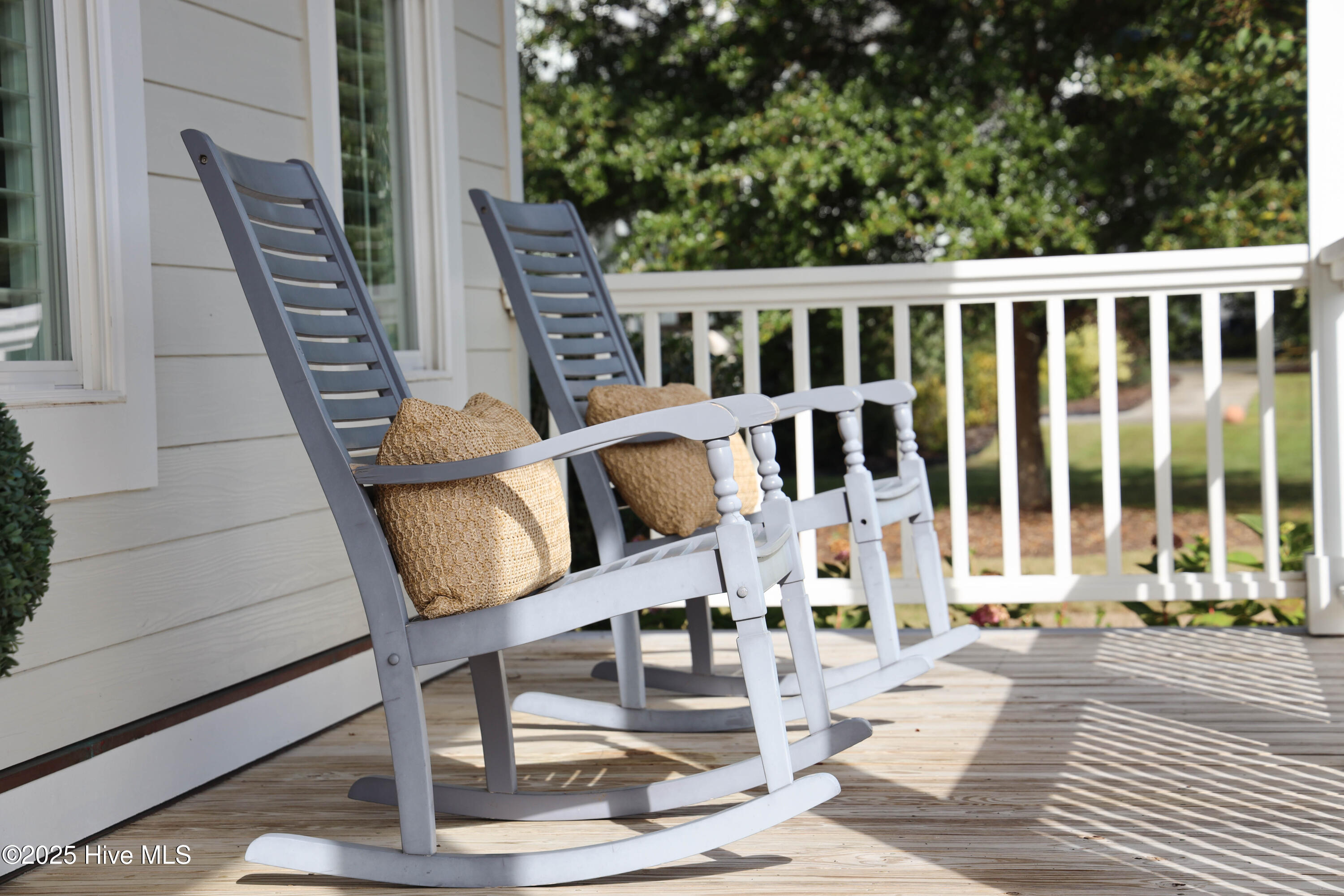 100556308 | Photo 101