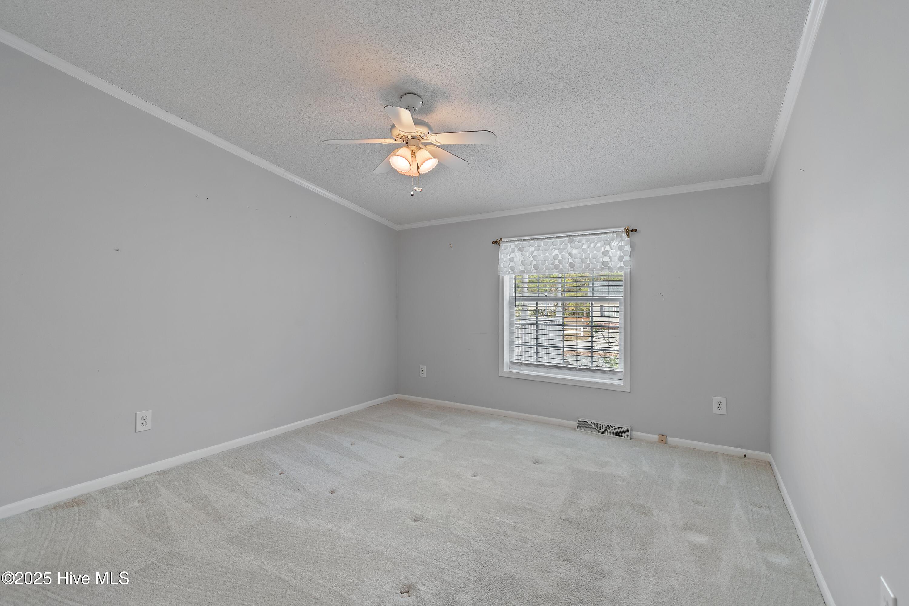 100542412 | Photo 22