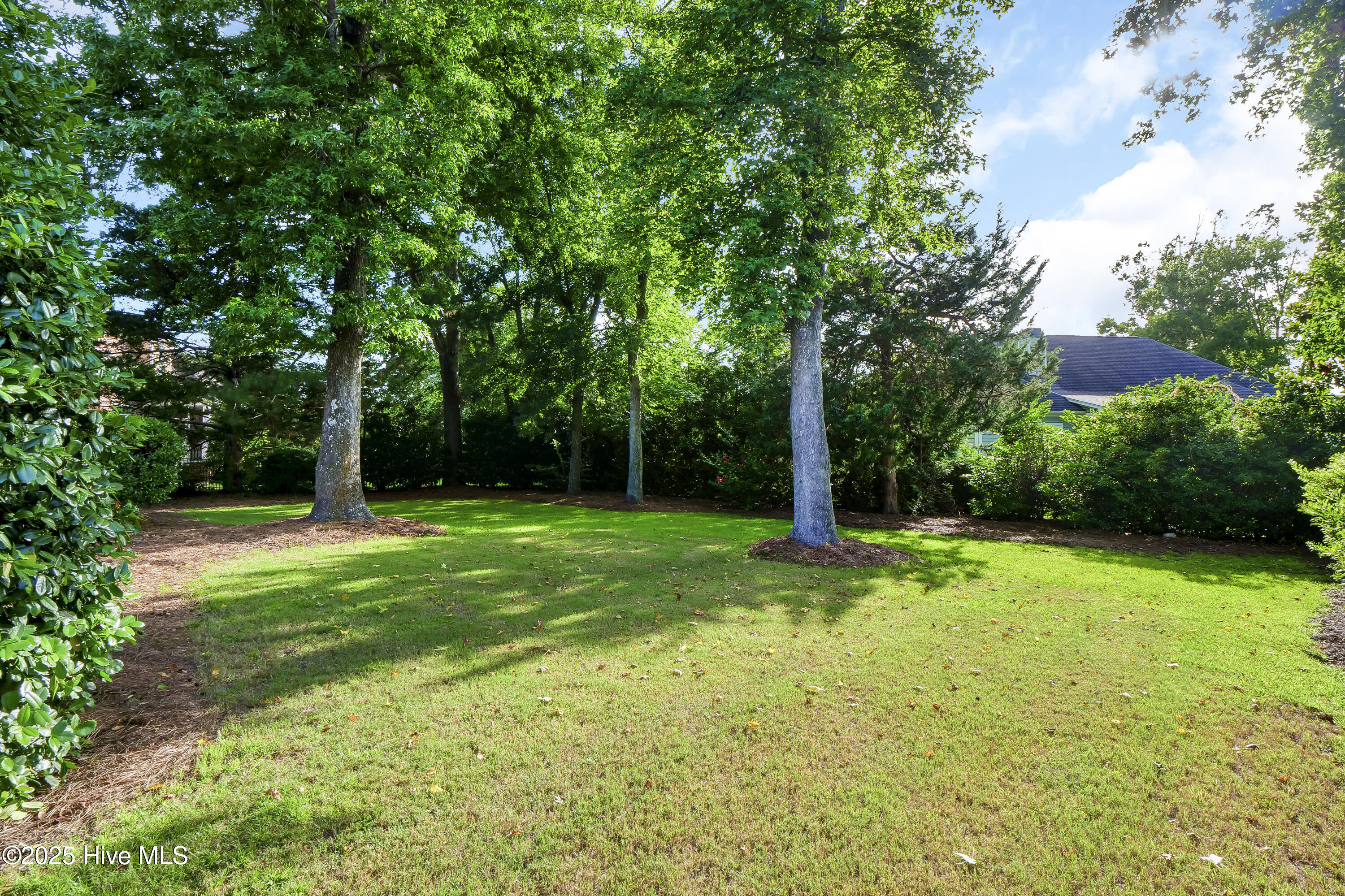 100518600 | Photo 49