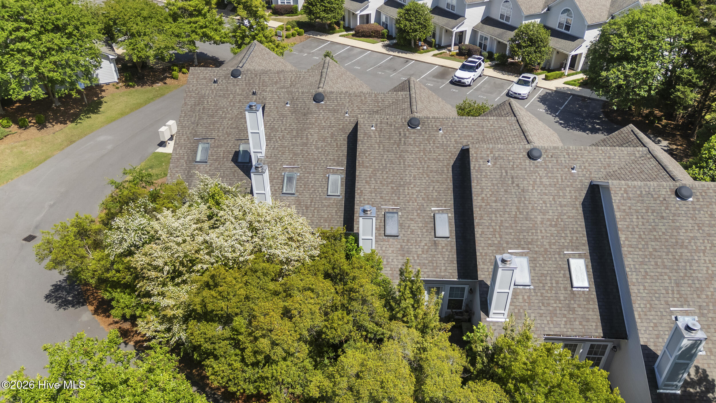 100570067 | Photo 32