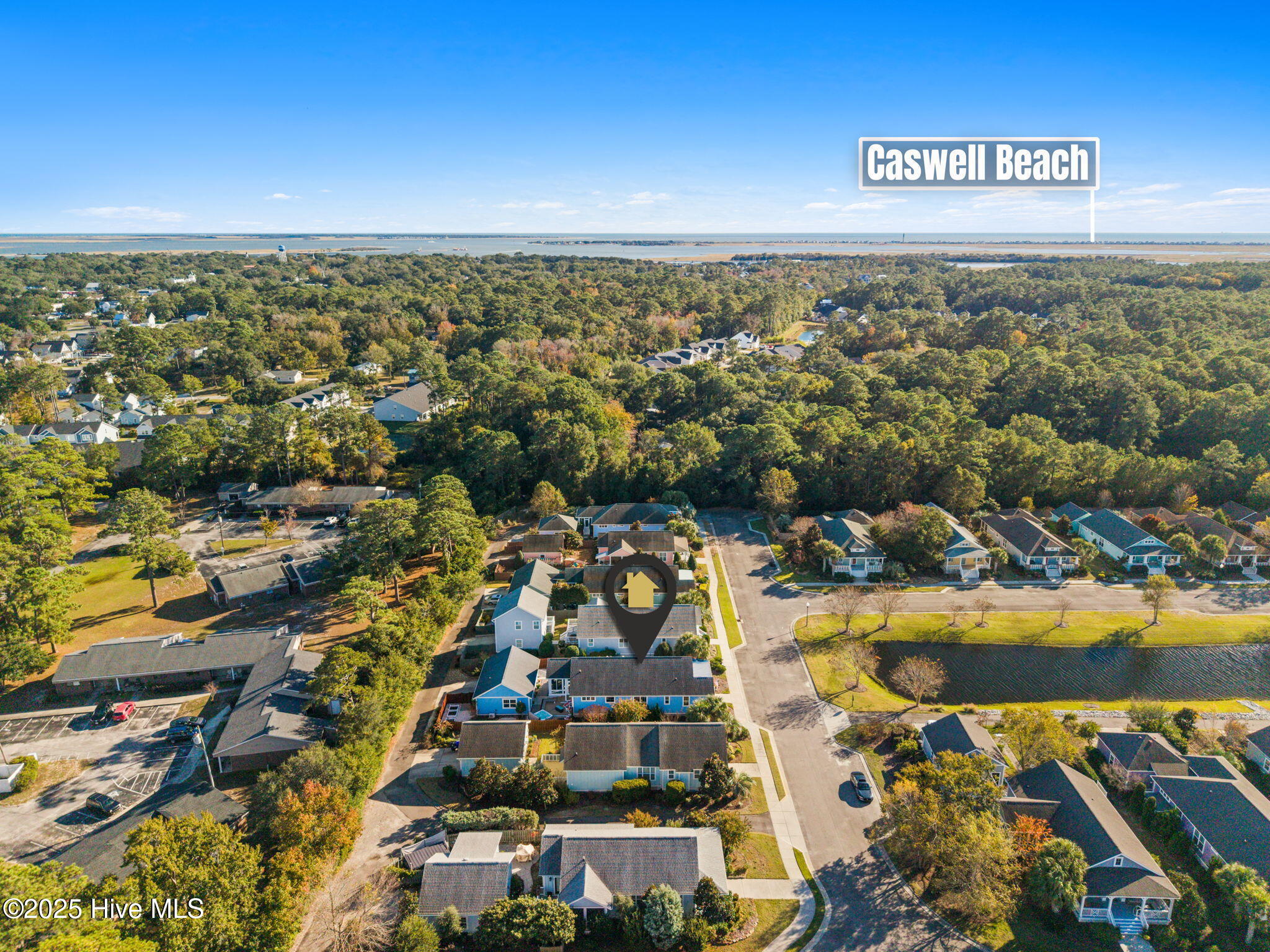 100541992 | Photo 13