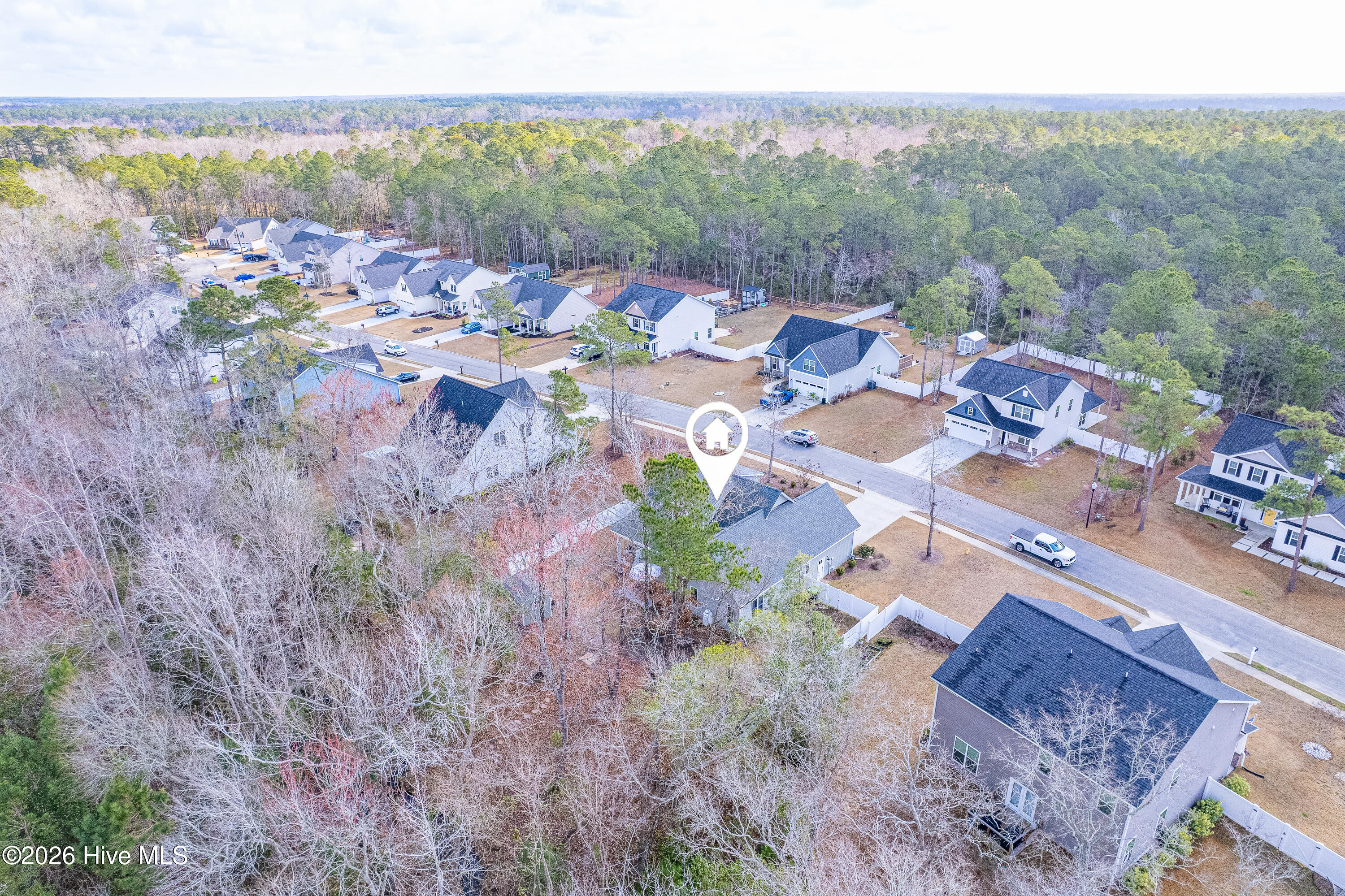 100561290 | Photo 51