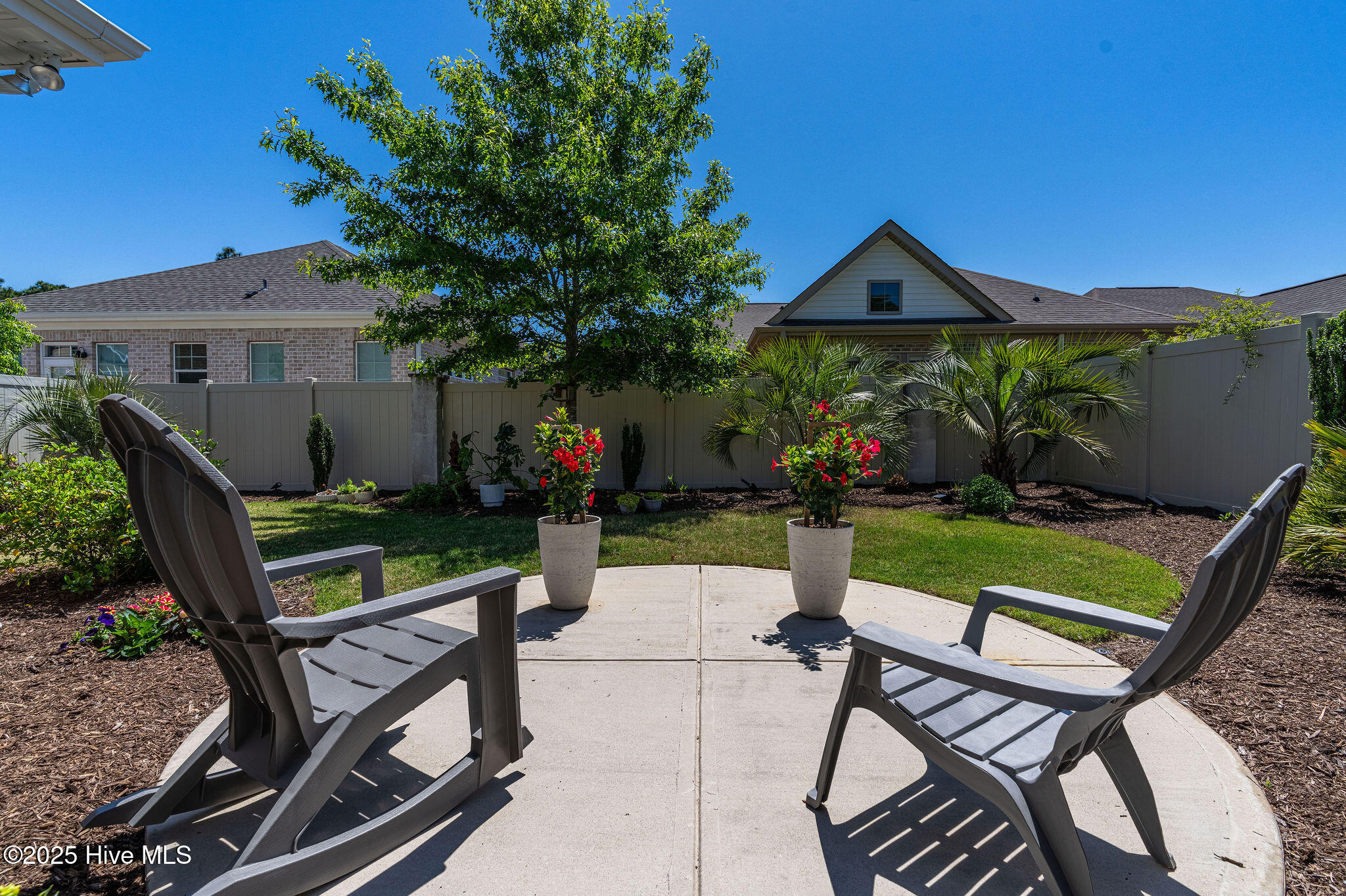 100540616 | Photo 50