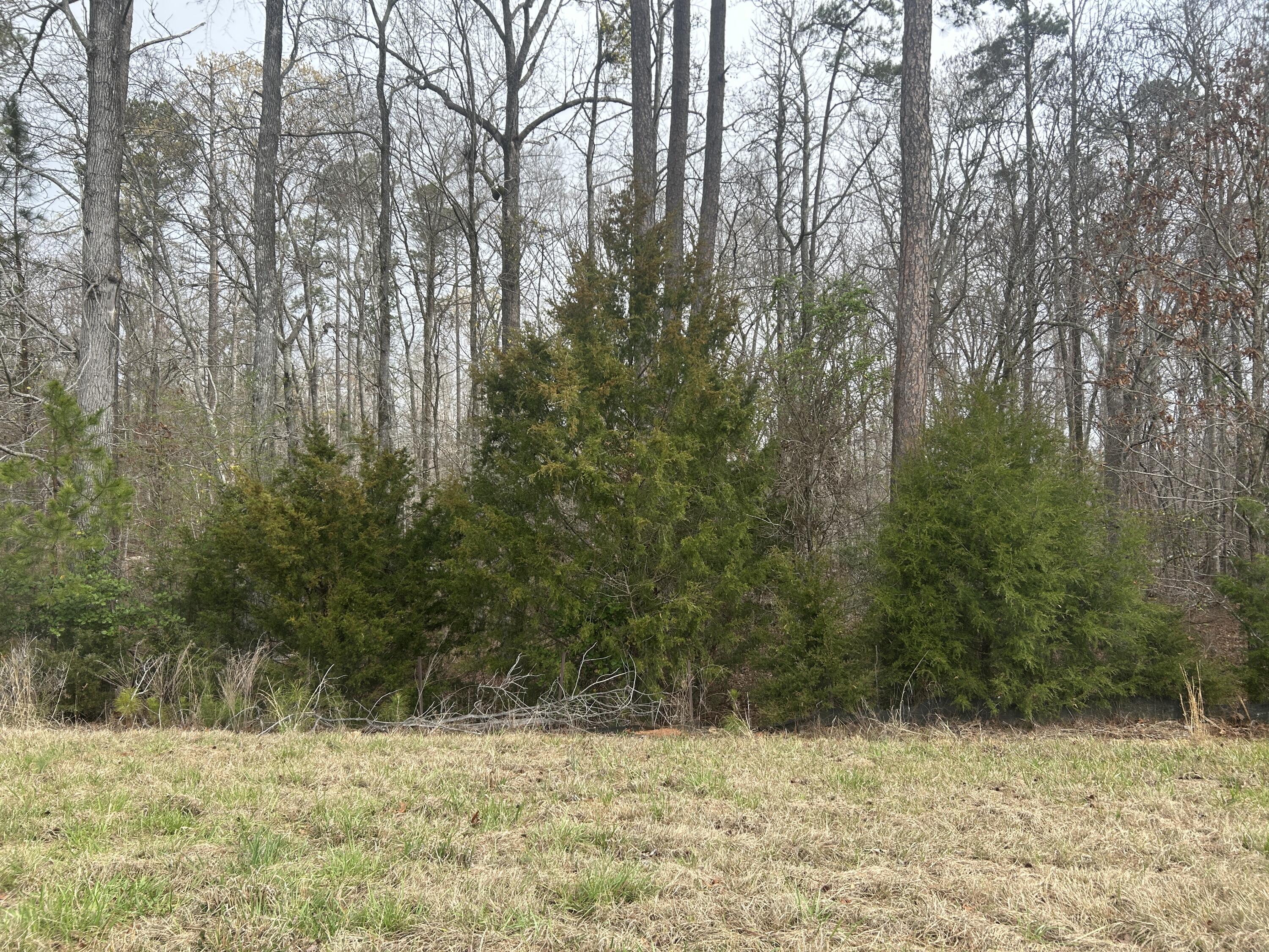 Homes for sale in Lincolnton, GA | 547 Nathania Farm Rd, Lincolnton, GA 30817 | MLS# 553046