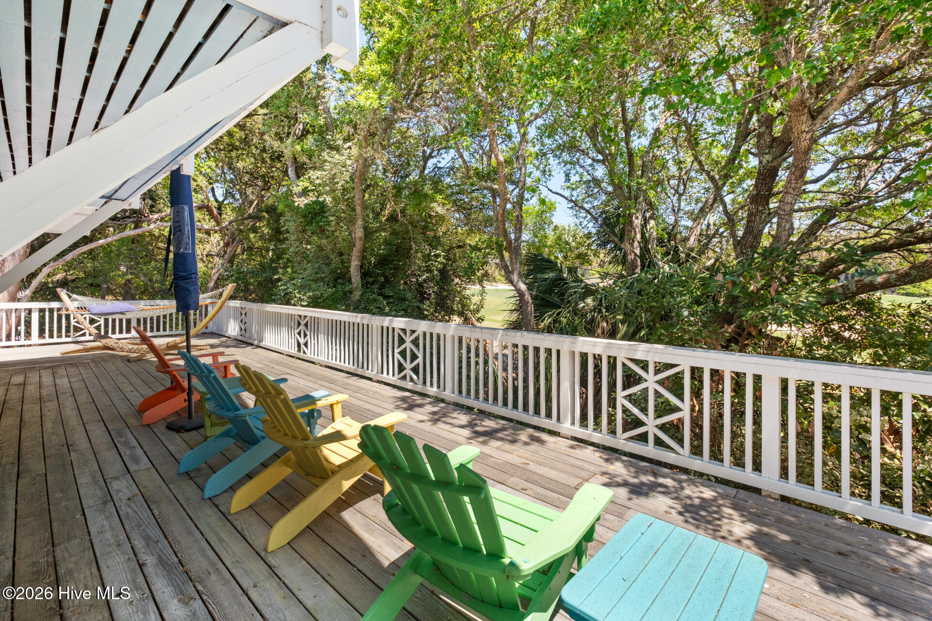 100569244 | Photo 40