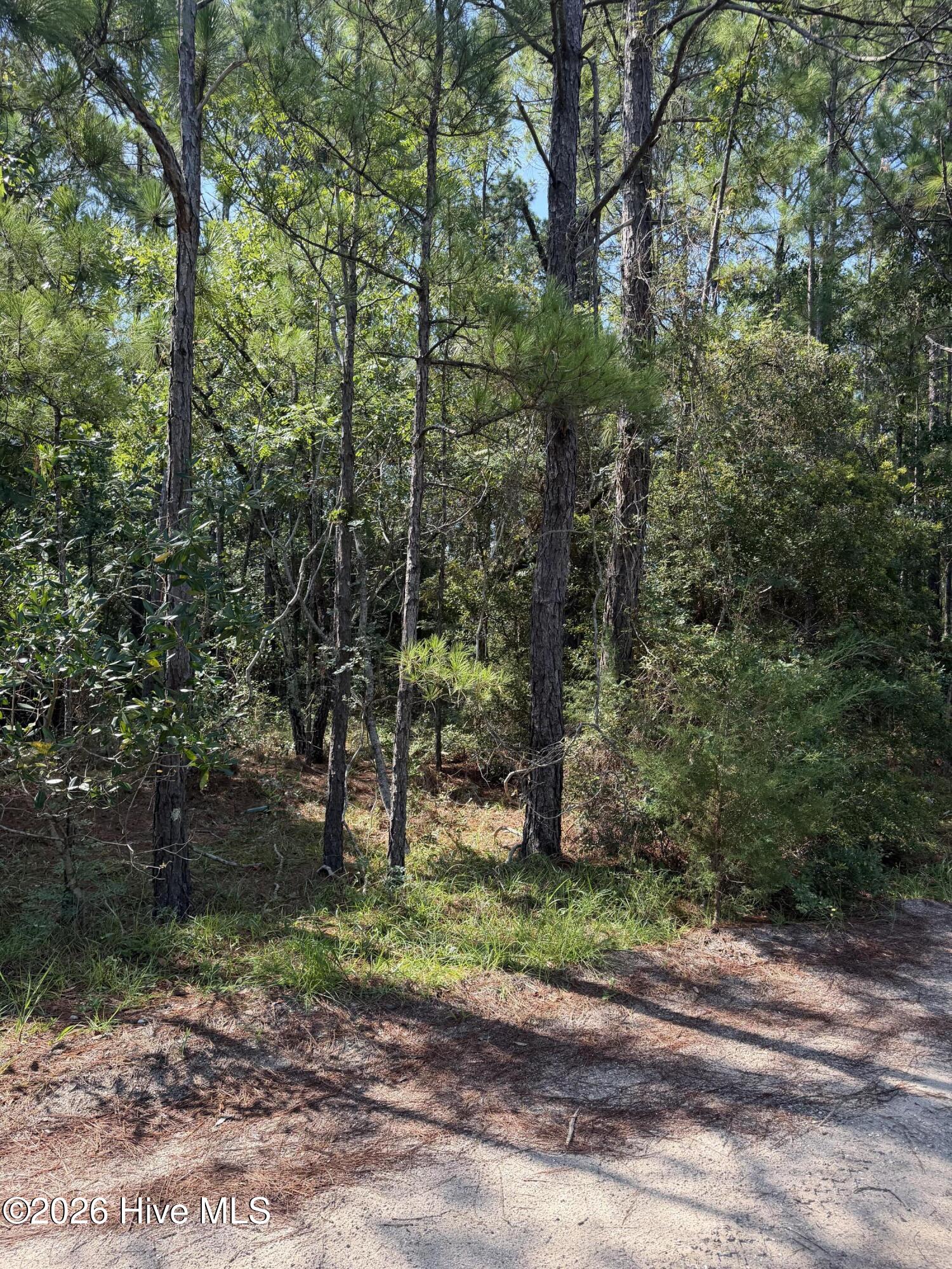 1st image of 2861 Robin Dr Sw, Shallotte, NC 28470 | MLS# 100598840