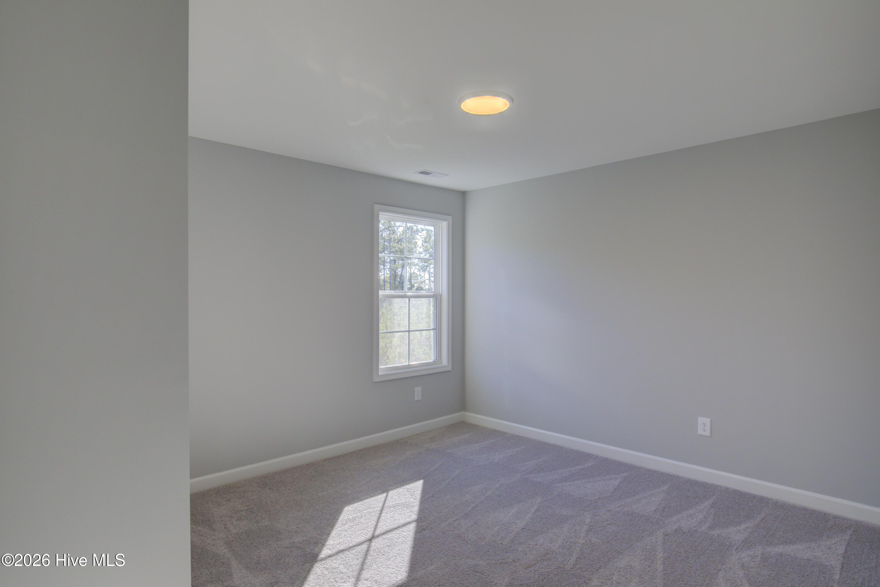 100563069 | Photo 12